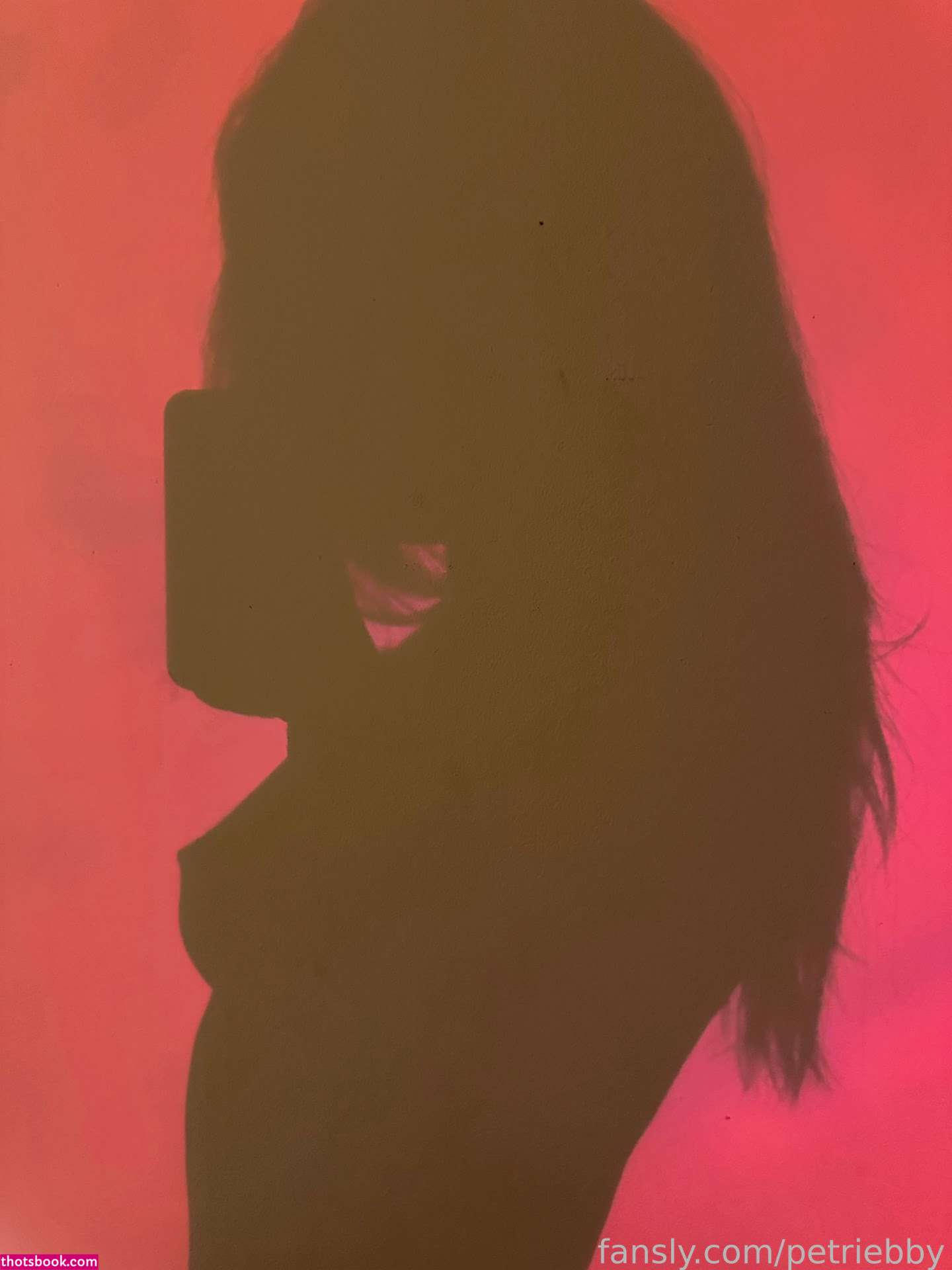 Petriebby Nude Leaks OnlyFans Photos #6 1682707