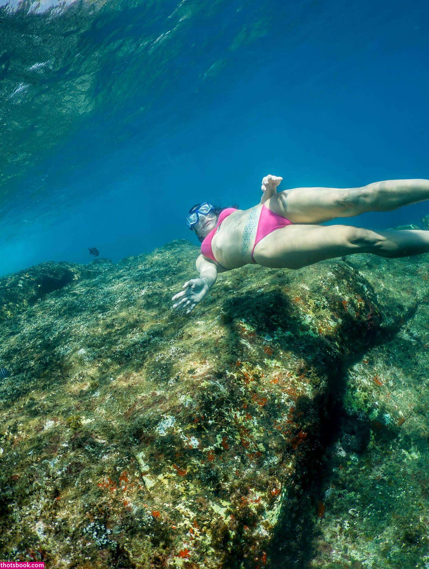 Carol Castro Nude Leaks OnlyFans Photos #6 1704348