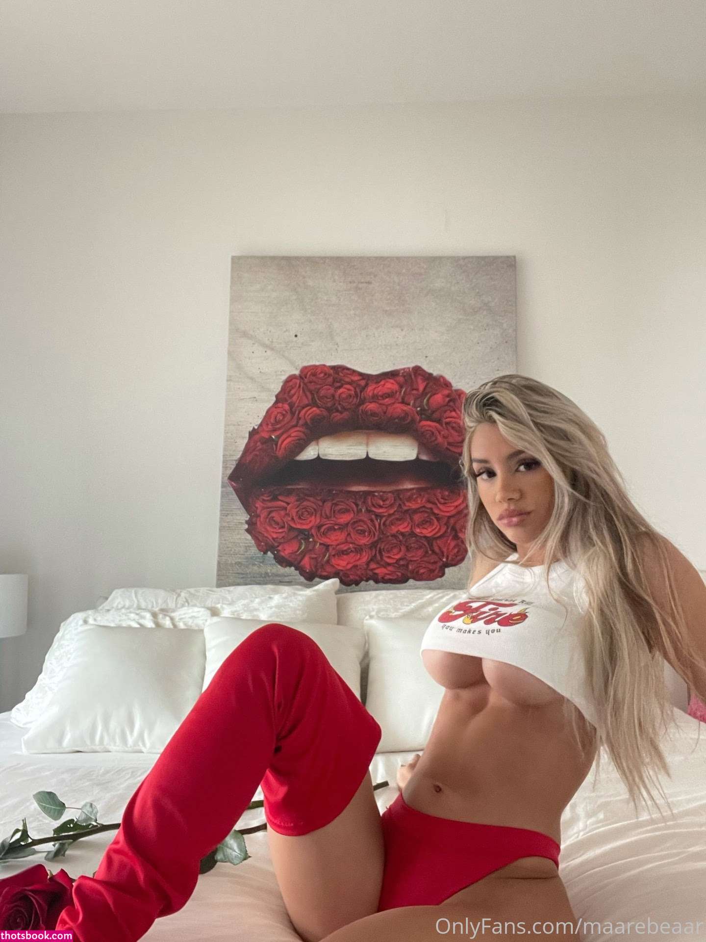 Mariana Morais maarebeaar OnlyFans Photos #8 210910