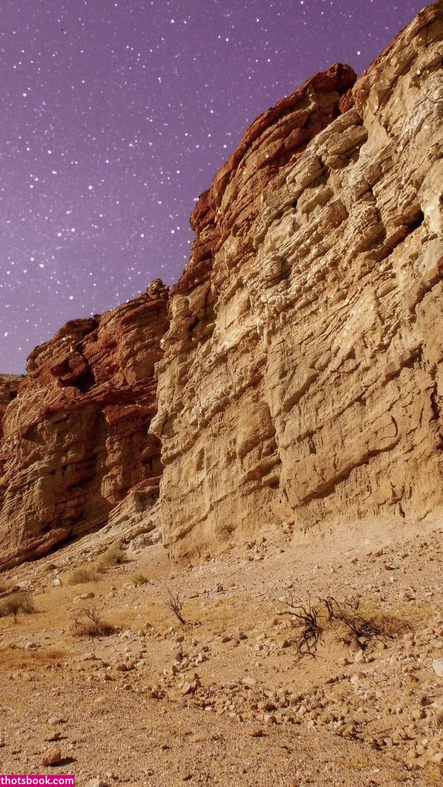 Vanessavenus21  Valeria Vixen OnlyFans Photos #4 217913