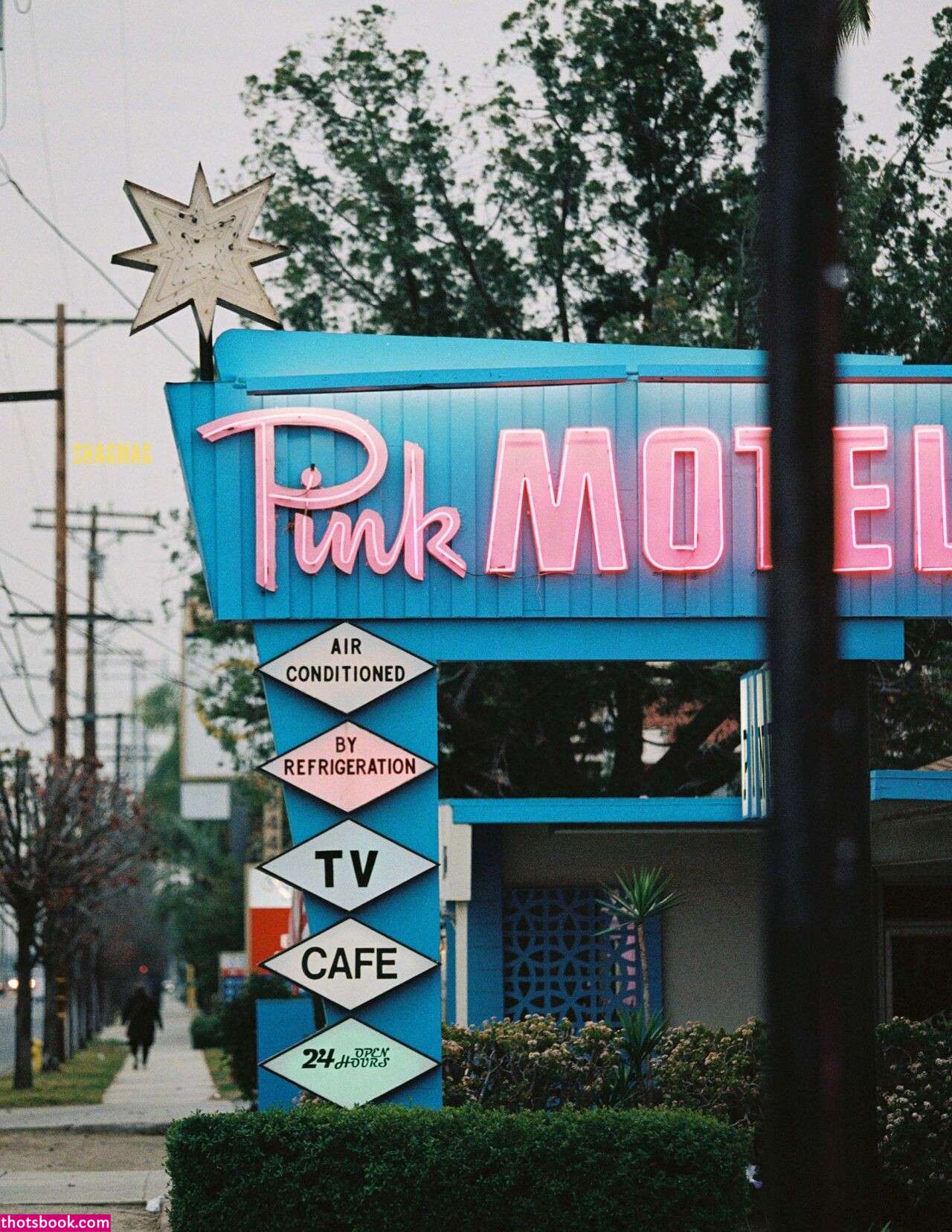 Summer Lynn Hart OnlyFans Photos #3 214007