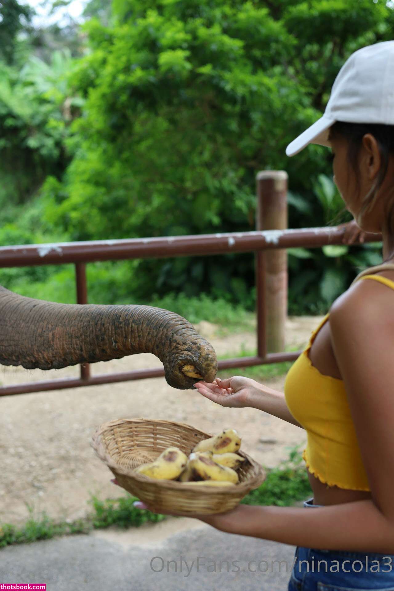 Ninacola OnlyFans Photos #11 198224