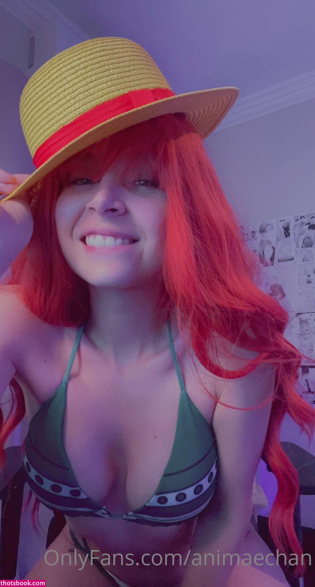 Animaechan OnlyFans Photos #4 214145