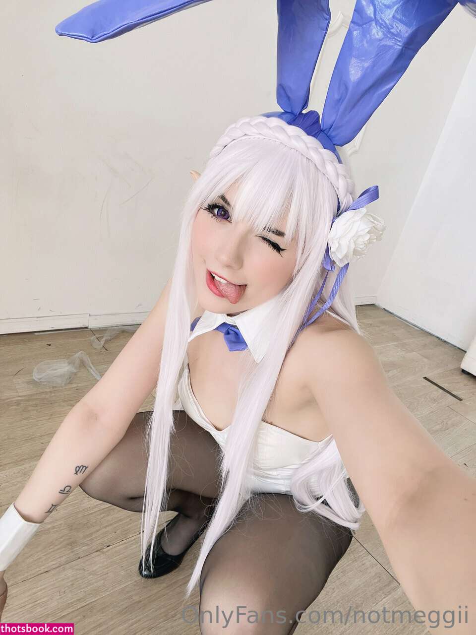 Meggii OnlyFans Photos #10 223144