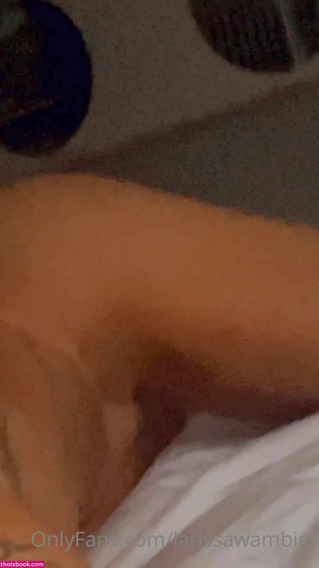 Larissa Wambier Nude OnlyFans Photos #8 883439