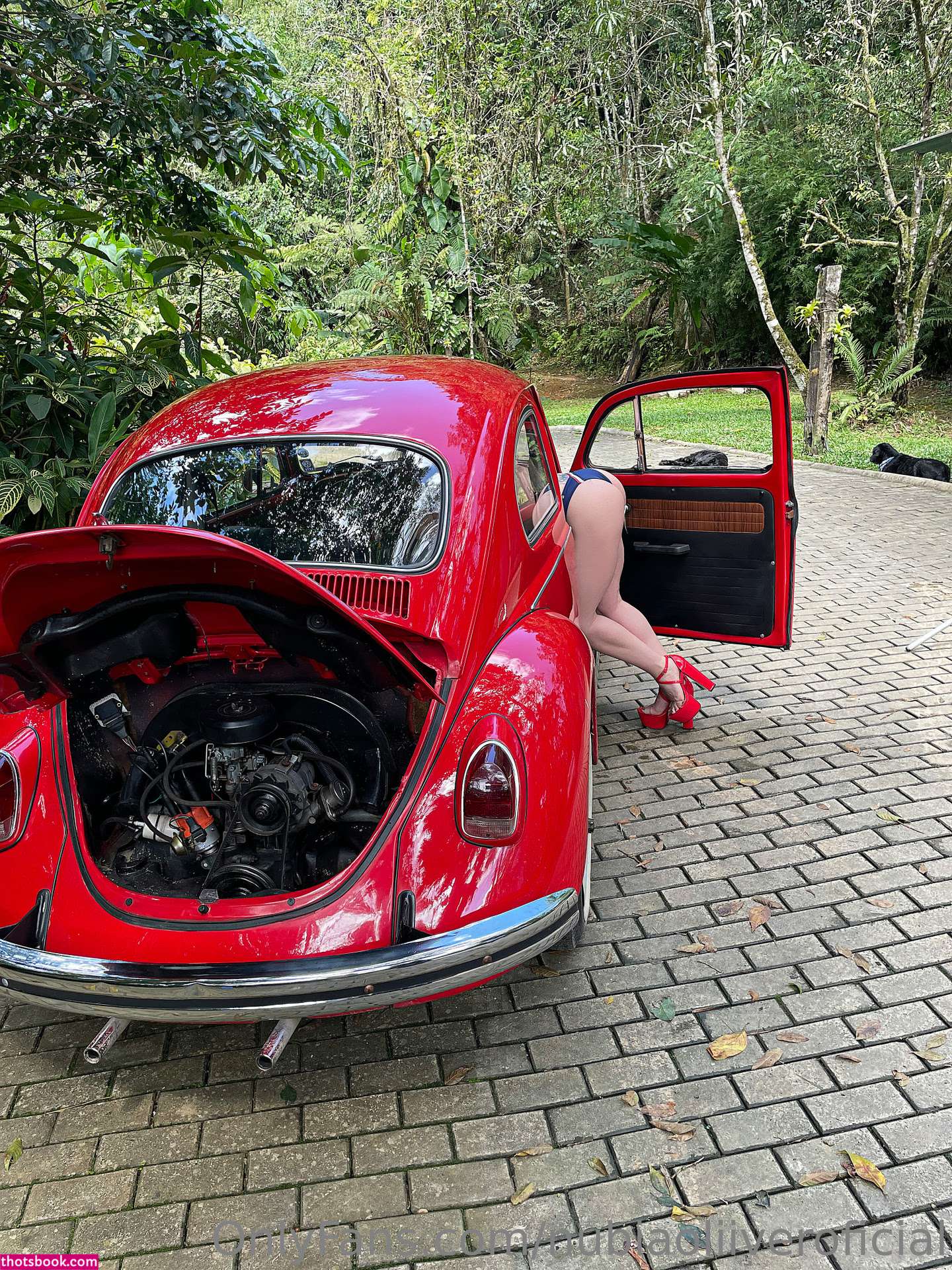 Nubia Oliver Nude OnlyFans Photos #11 884952