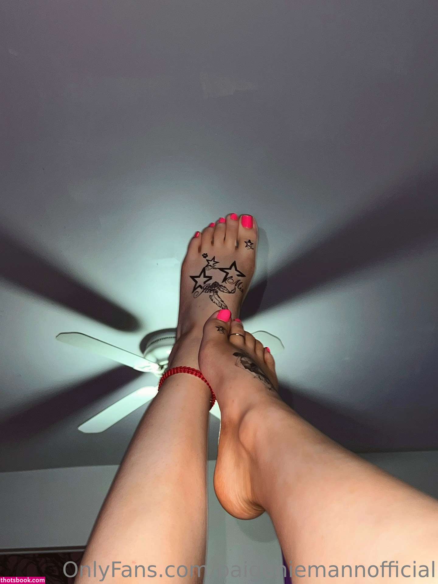 Paige Niemann Nude OnlyFans Photos #12 826011