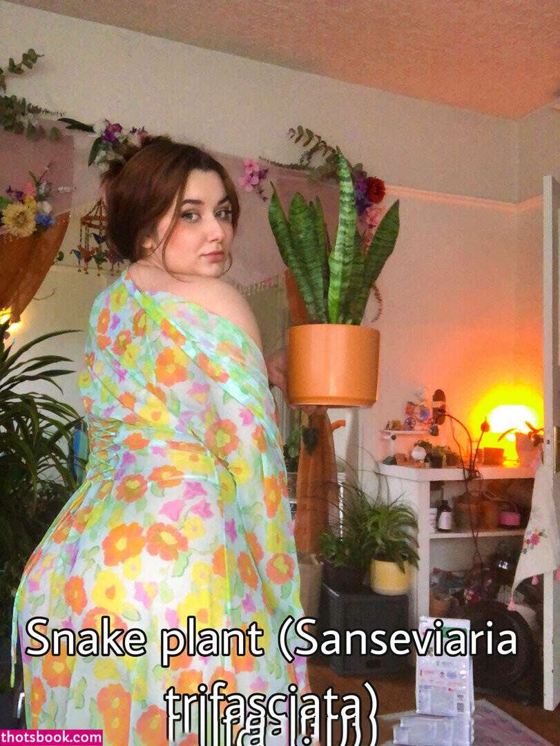 Nixxxie Pearlz Nude OnlyFans Photos #5 847505