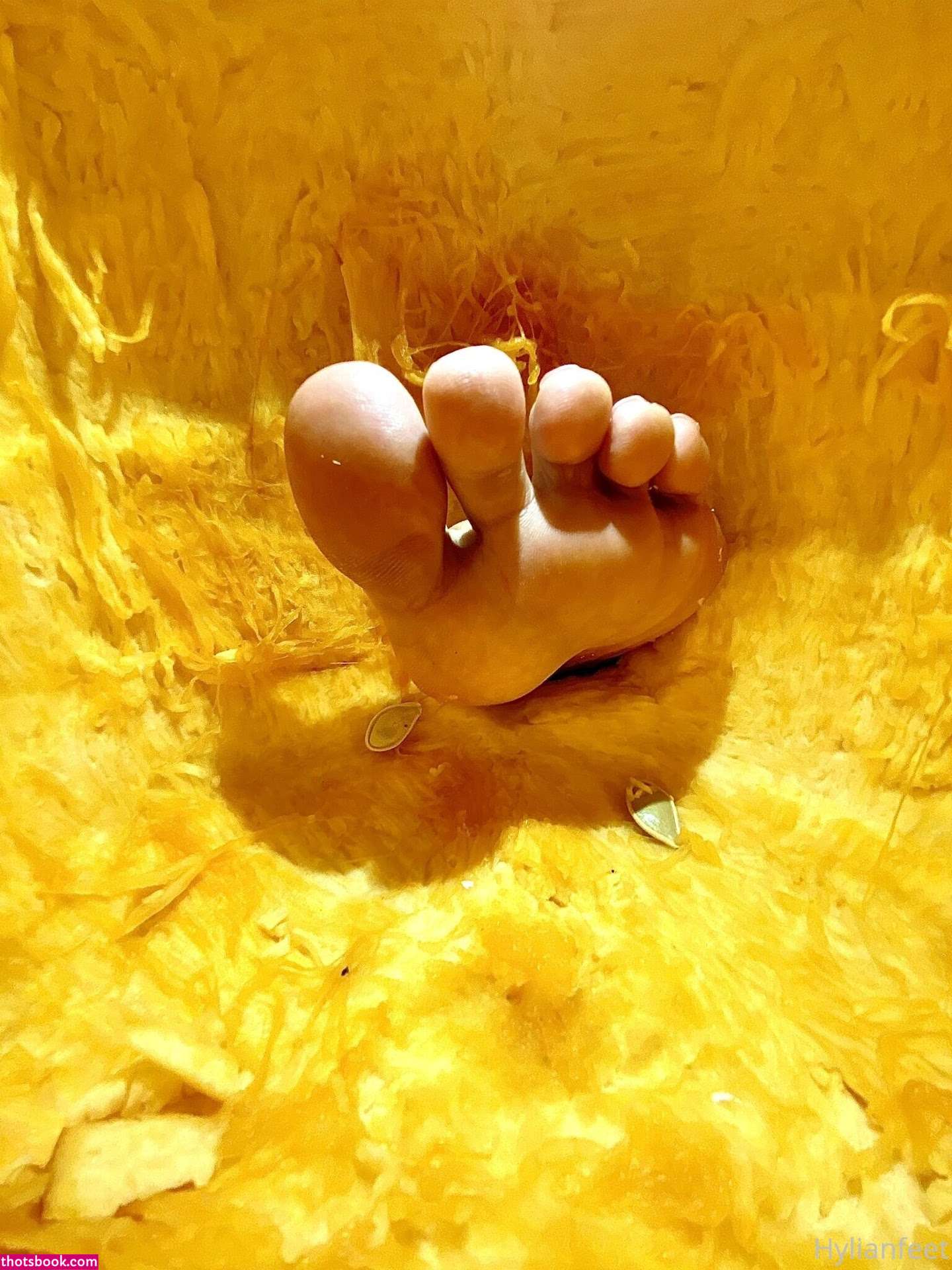 ZeldaHyrule Nude OnlyFans Photos #2 847803