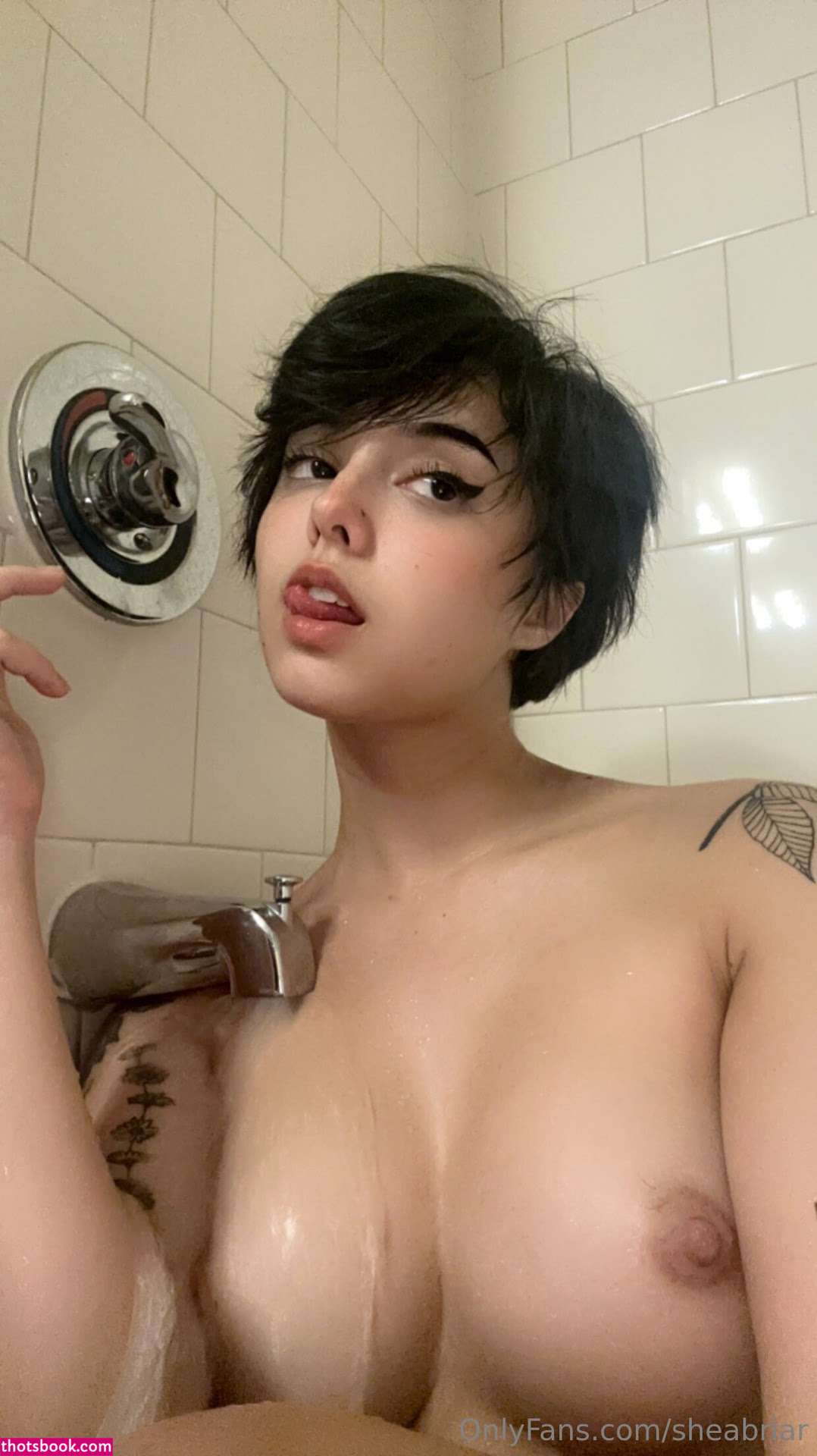 Shea Briar Nude OnlyFans Photos #8 873476