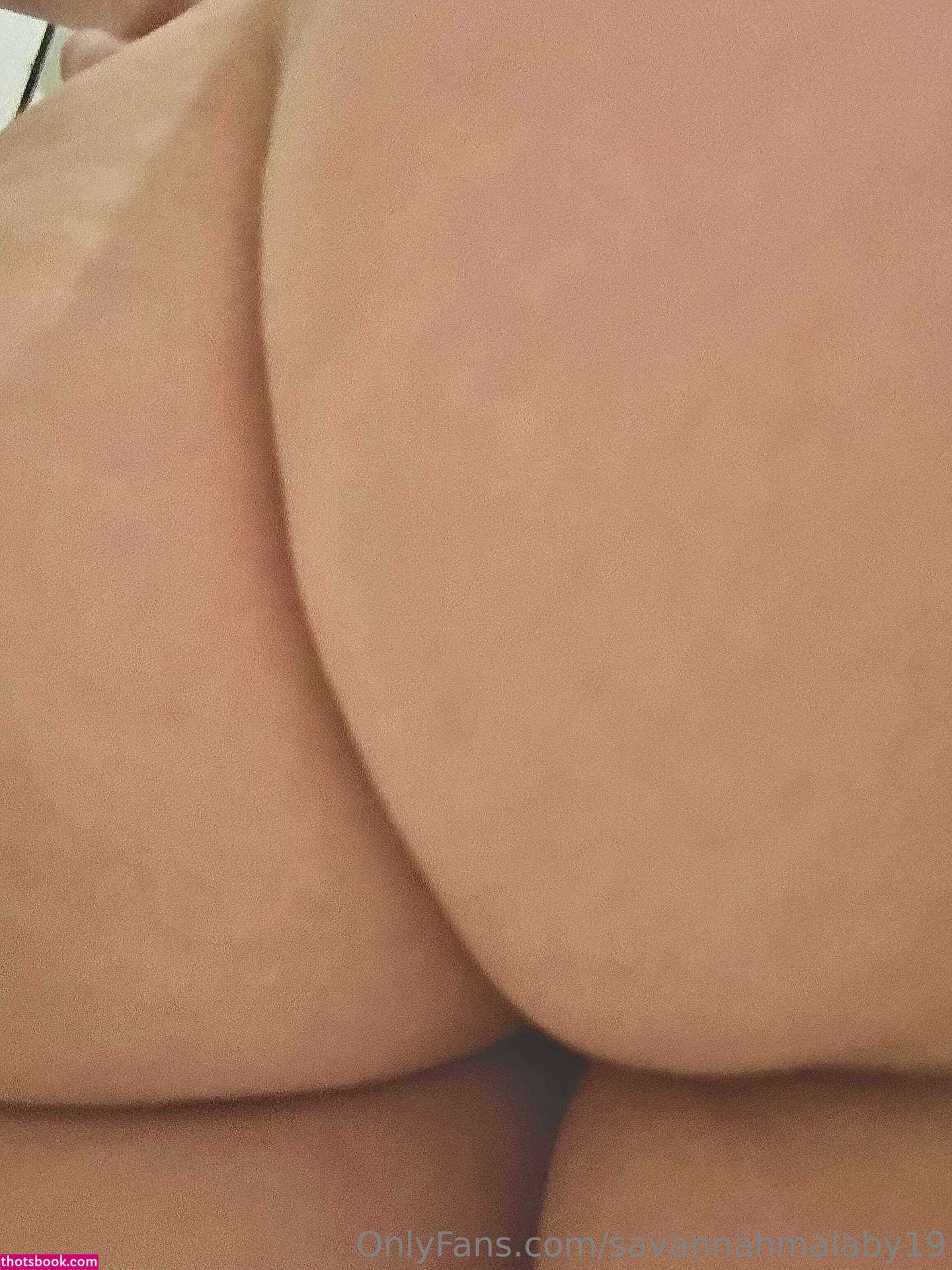 Savannah Malaby Nude OnlyFans Photos #13 865587