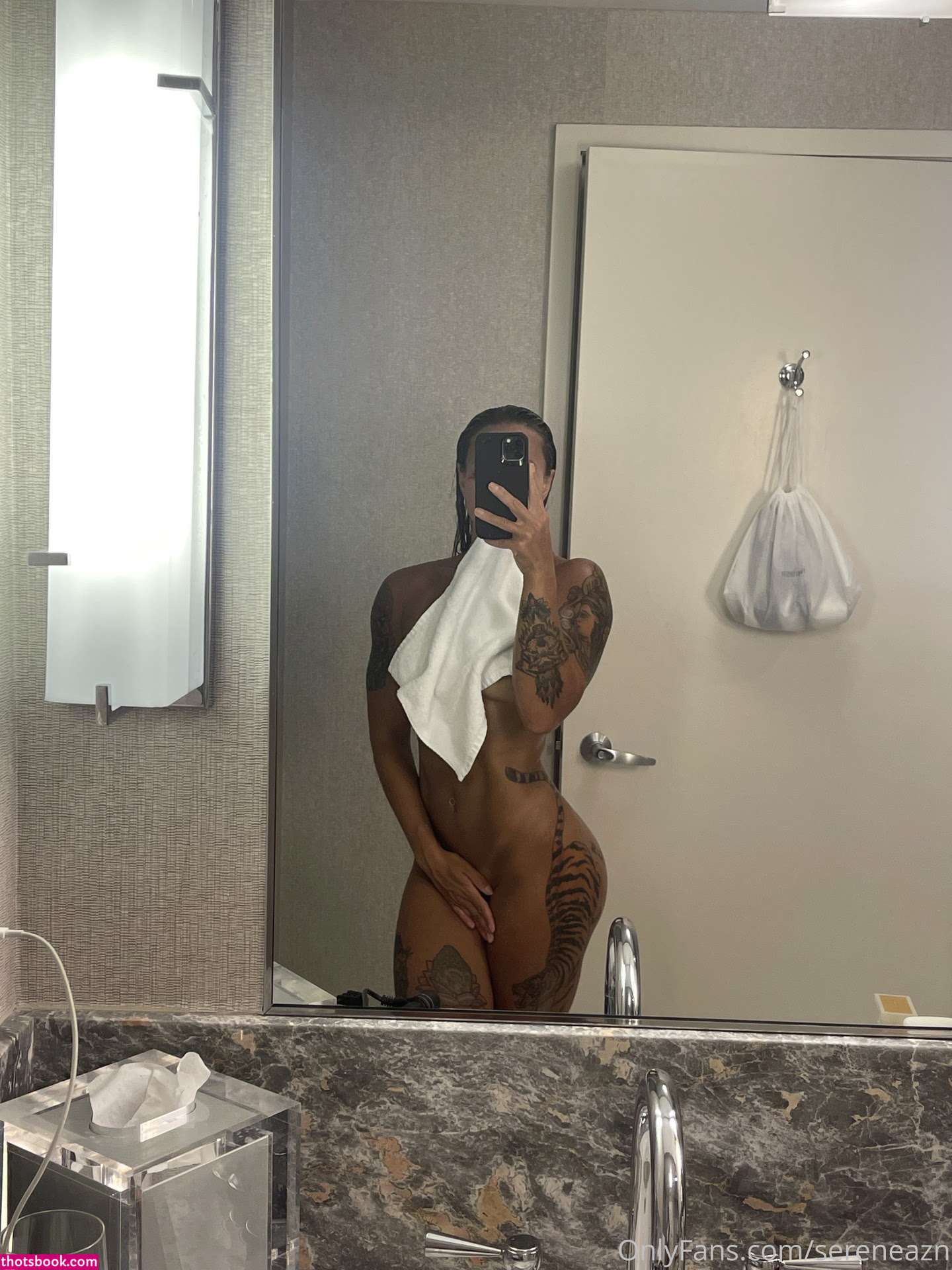 Sereneazn Nude OnlyFans Photos #11 865629