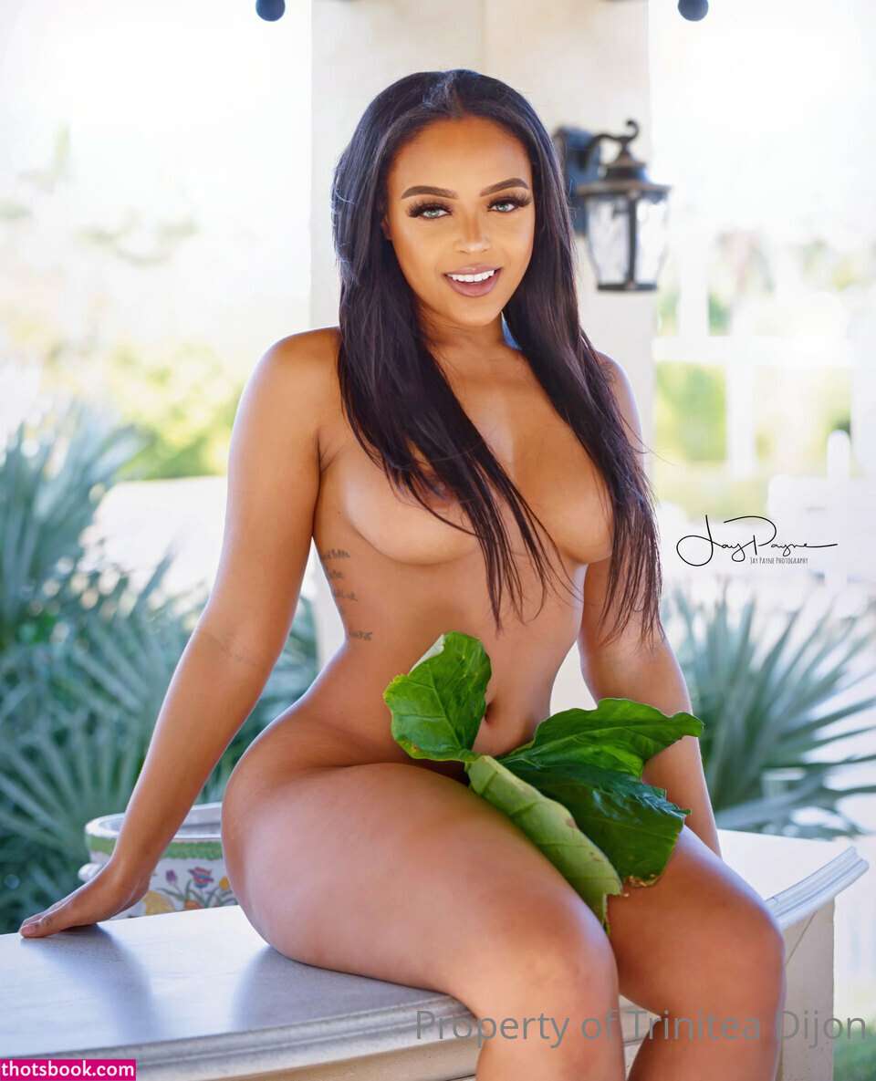 TrinDen Nude OnlyFans Photos #8 817536