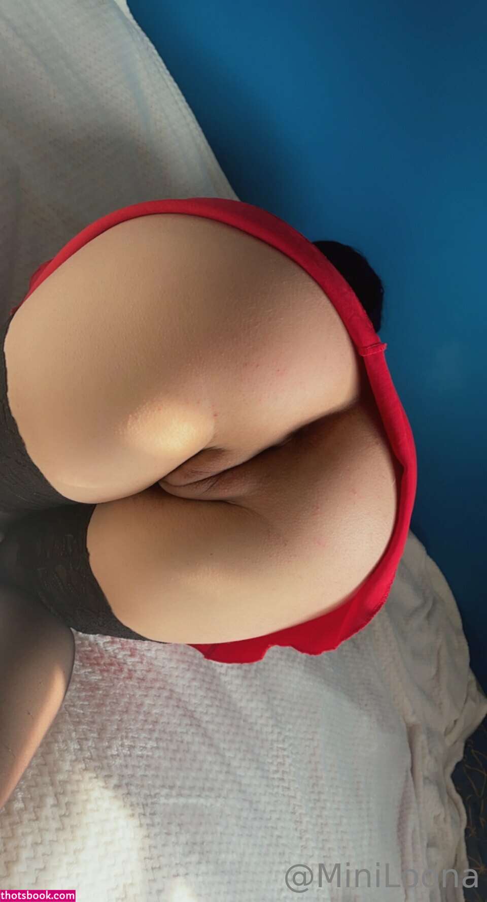 Miniloonaa Nude OnlyFans Photos #38 829708