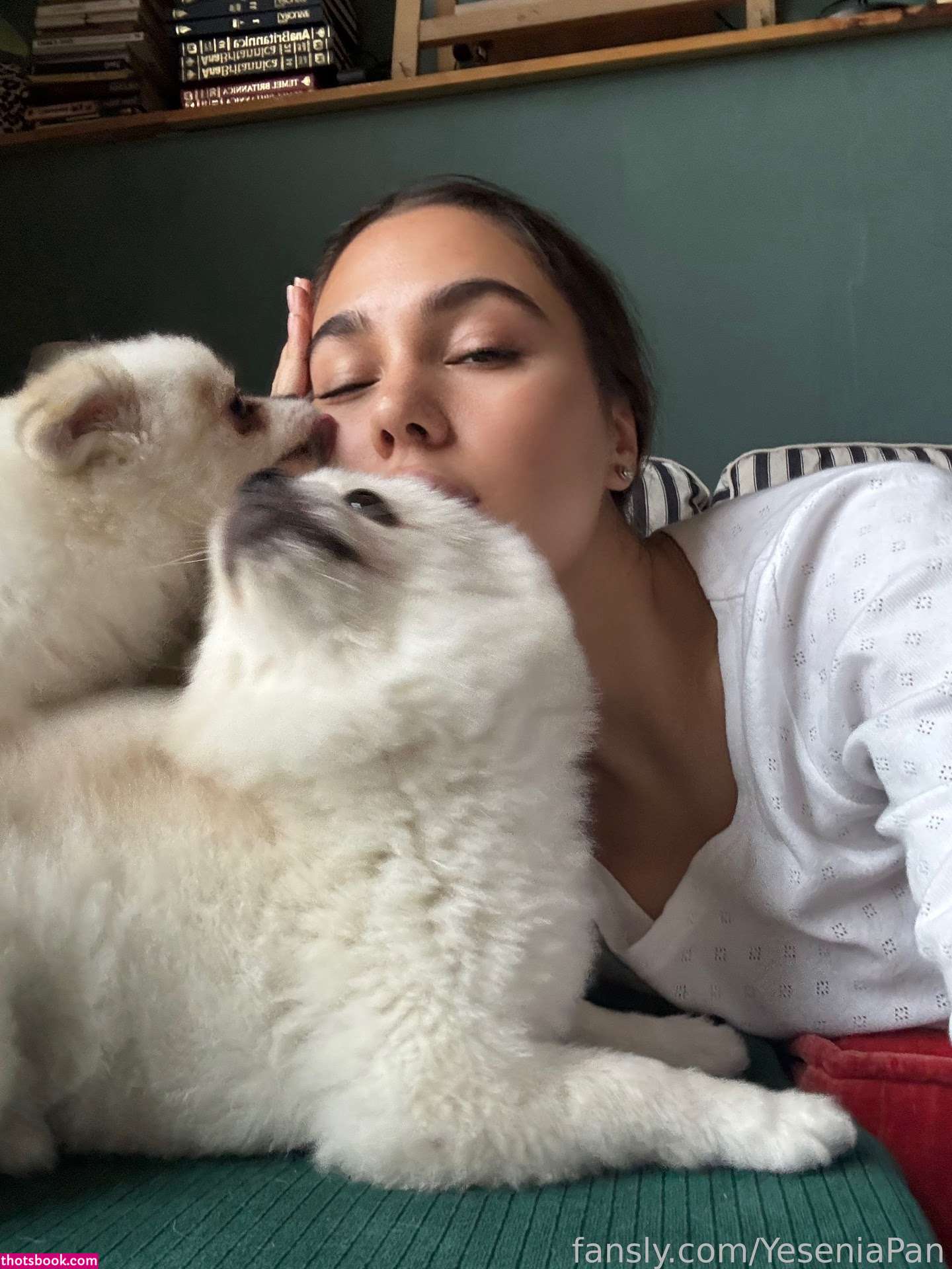 YeseniaPan Nude Leaks OnlyFans Photos #6 1673244