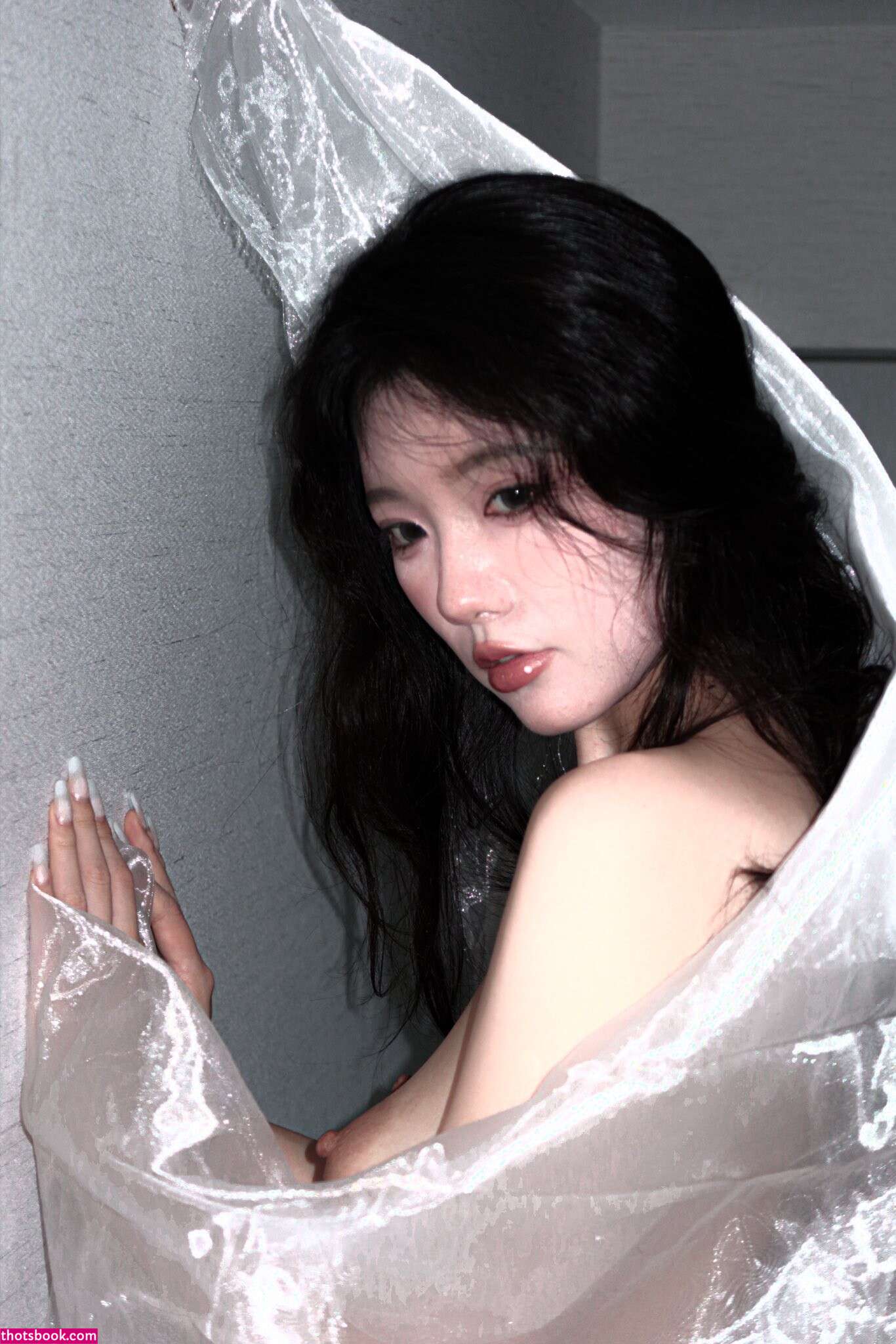 taoliangazhai Nude Leaks OnlyFans Photos #5 1638474