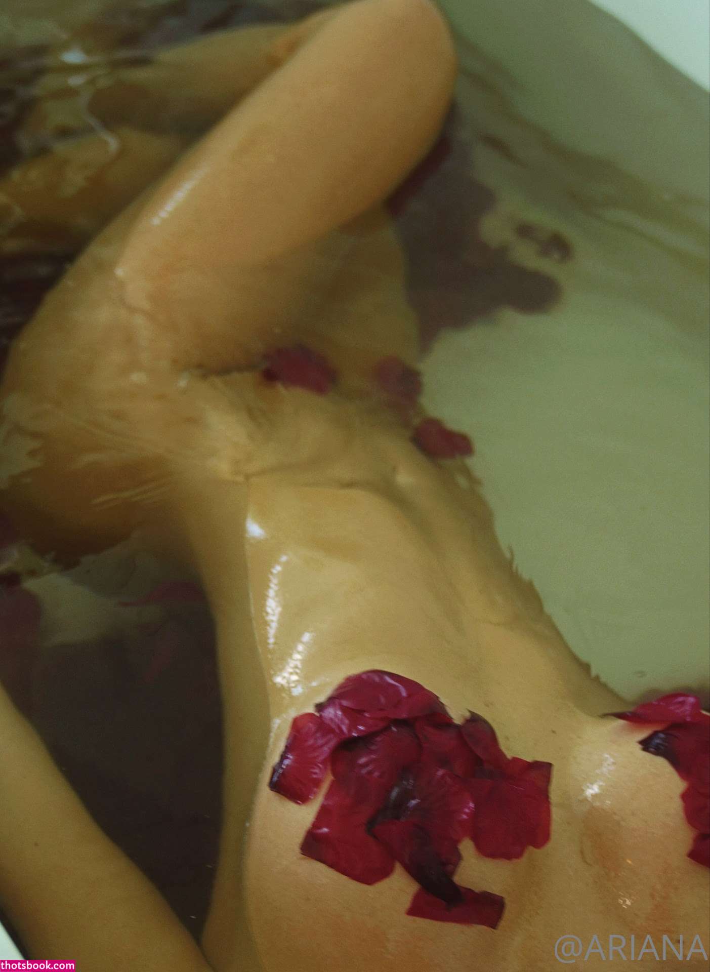 Ariana James OnlyFans Photos #1 157227