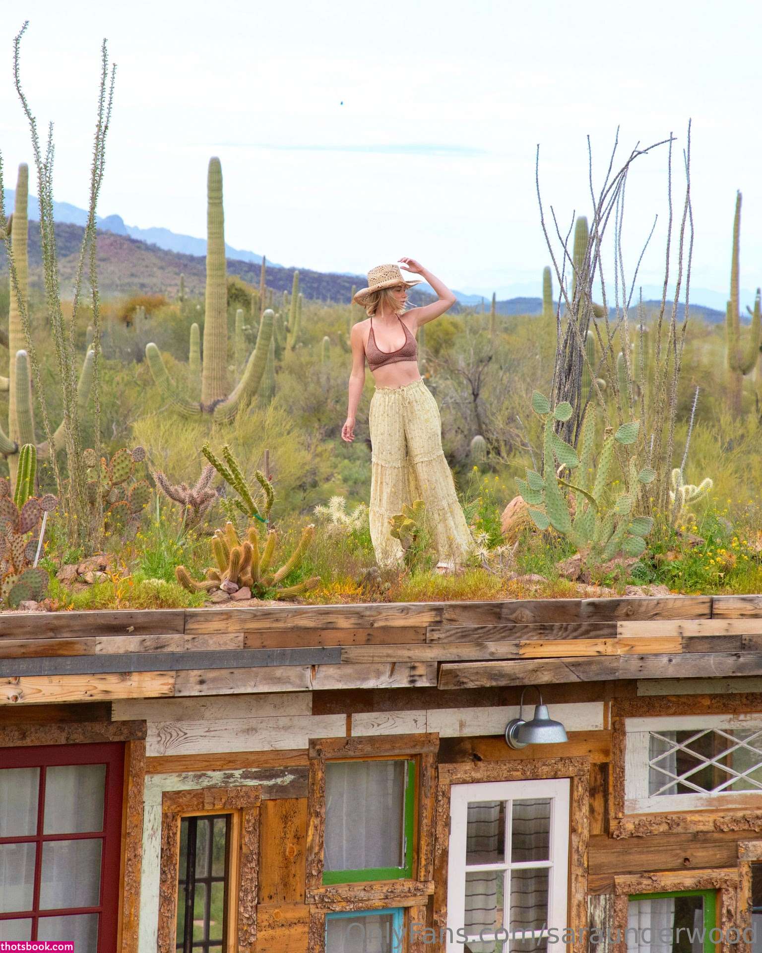 Sara Jean Underwood Saraunderwood Nude OnlyFans Photos #44 646382