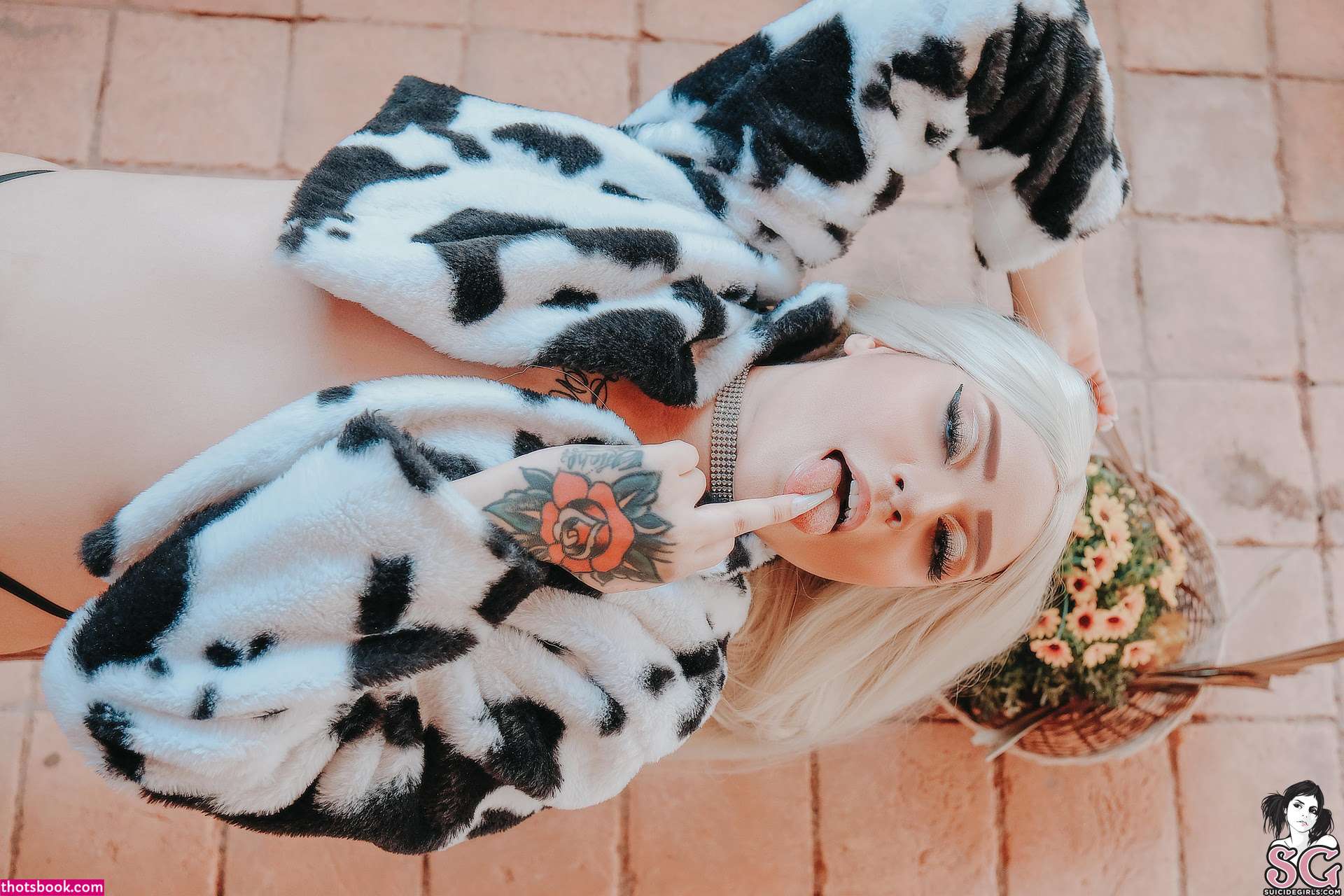 solariez Nude OnlyFans Photos #4 582775