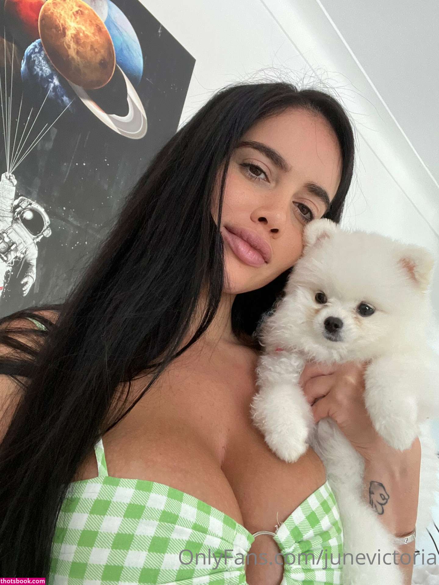 Victoria June Nude OnlyFans Photos #3 615580