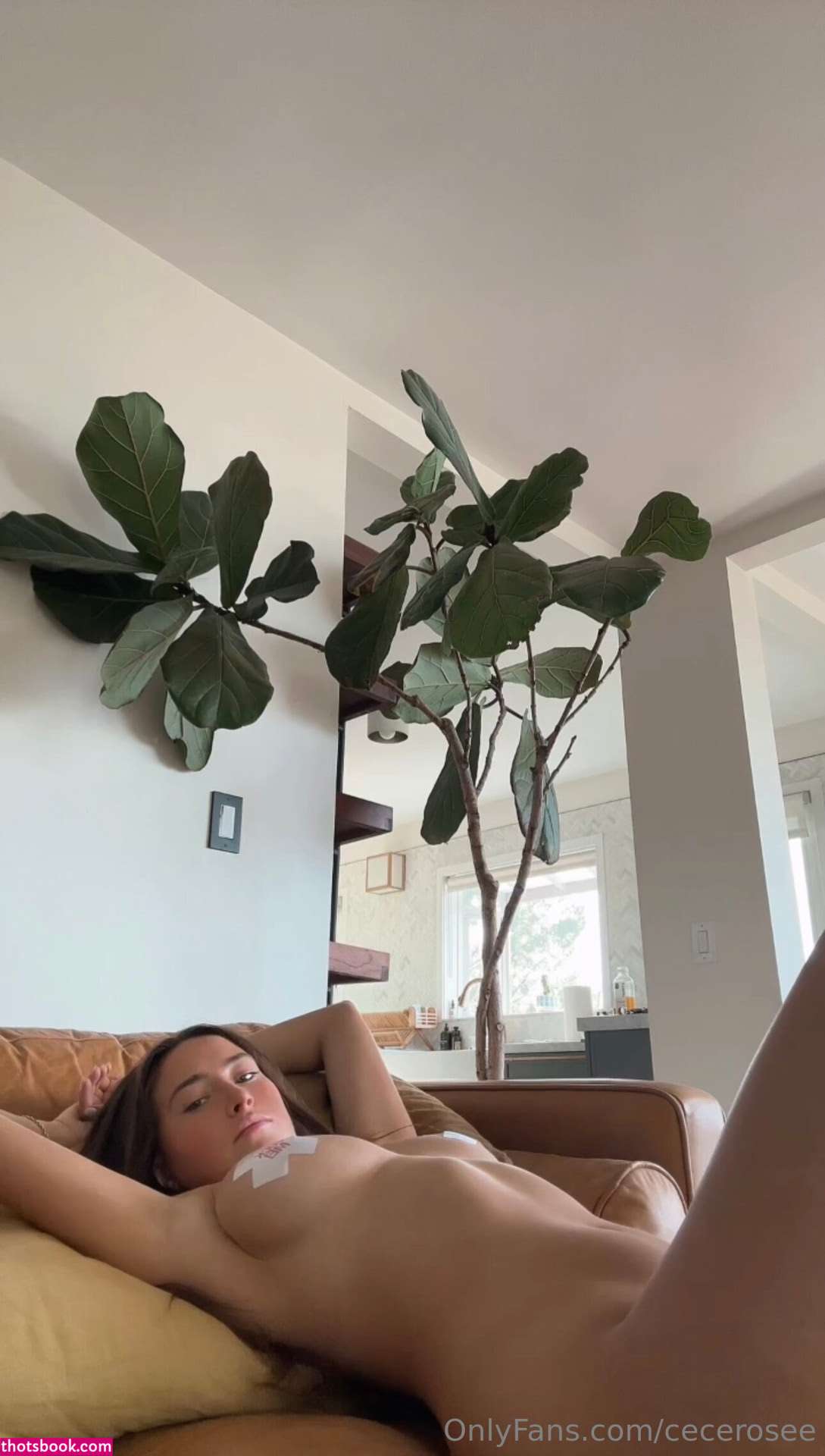 Cece Rose Nude OnlyFans Photos #48 593690