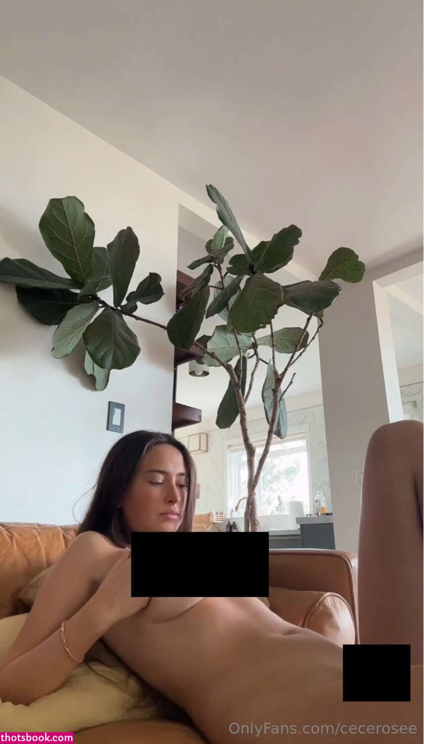 Cece Rose Nude OnlyFans Photos #48 593691