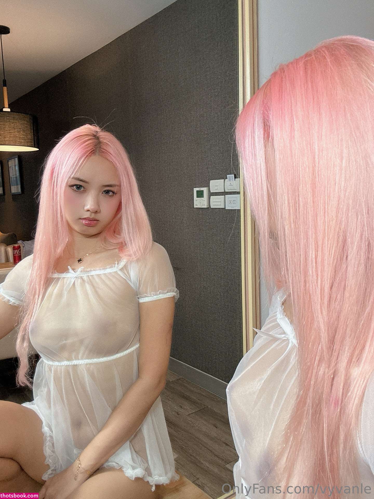 Vyvan Le Nude OnlyFans Photos #18 594890