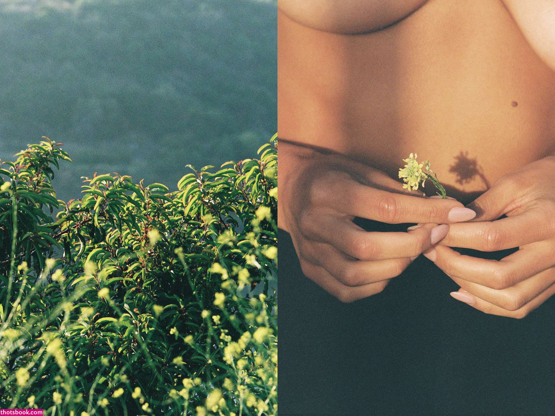 Alyssa Lynch Nude OnlyFans Photos #11 597692