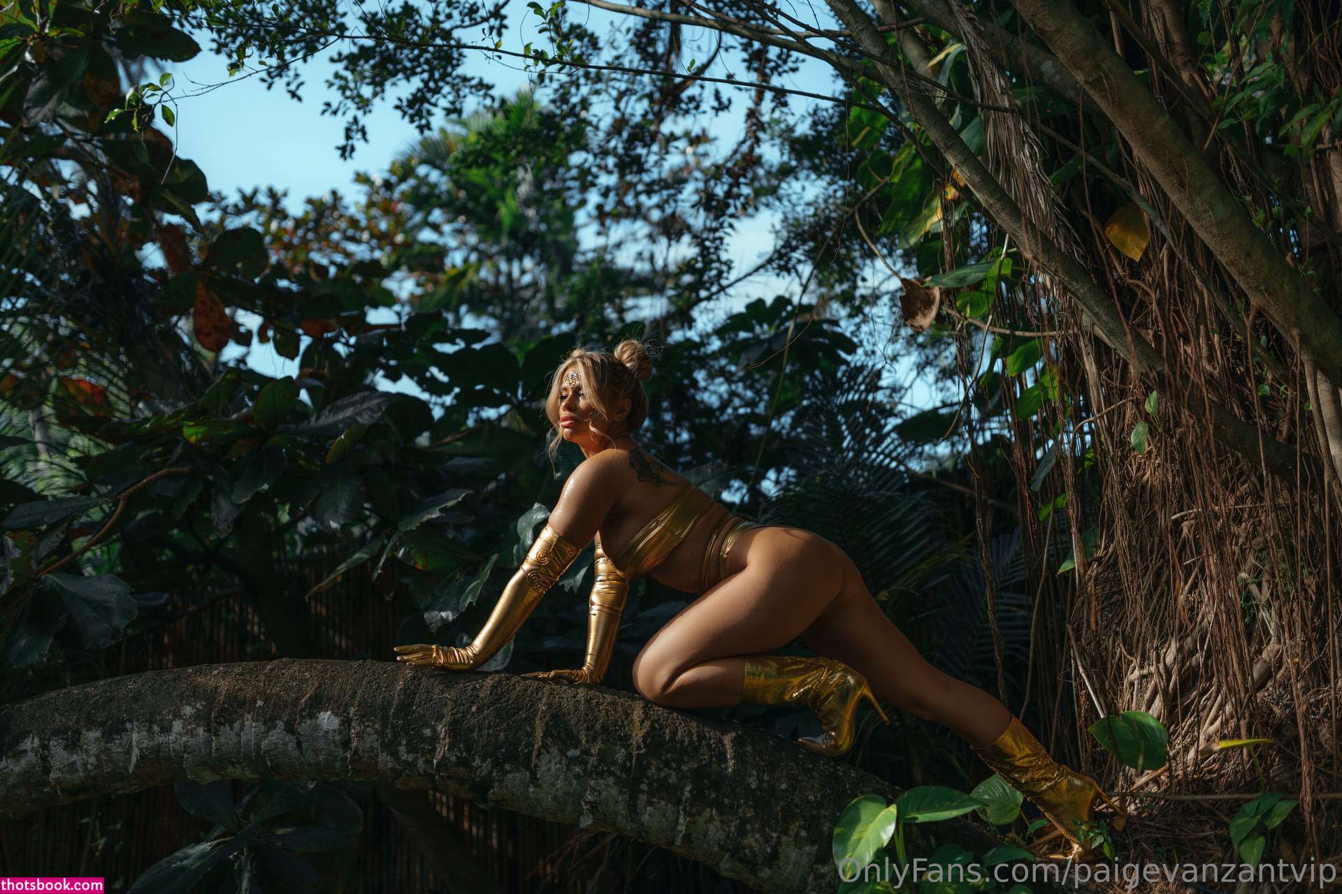 Paige Vanzant Nude OnlyFans Photos #102 592406