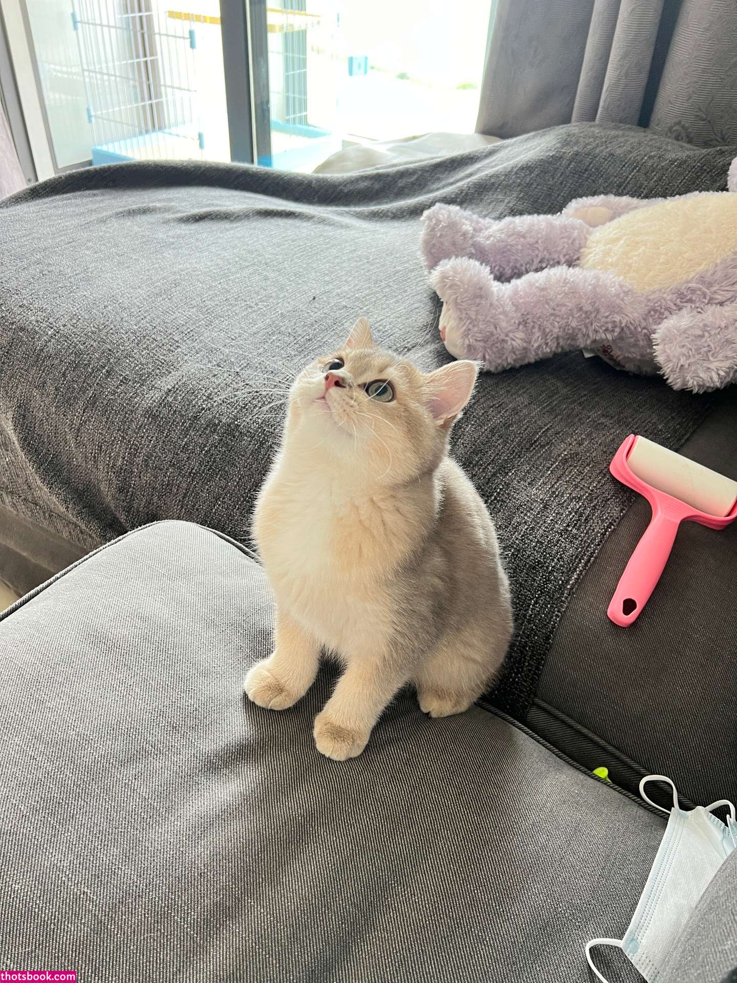 Sxeyes Nude Photos #7 605143