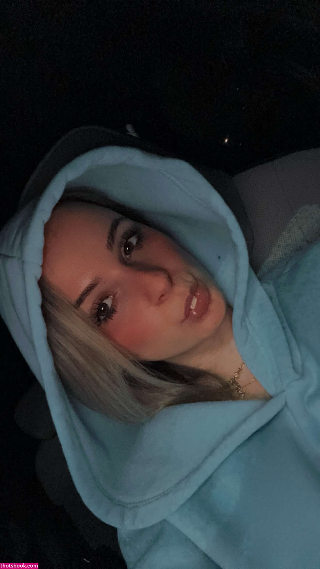 Kaitlyn Krems Nude OnlyFans Photos #10 586237