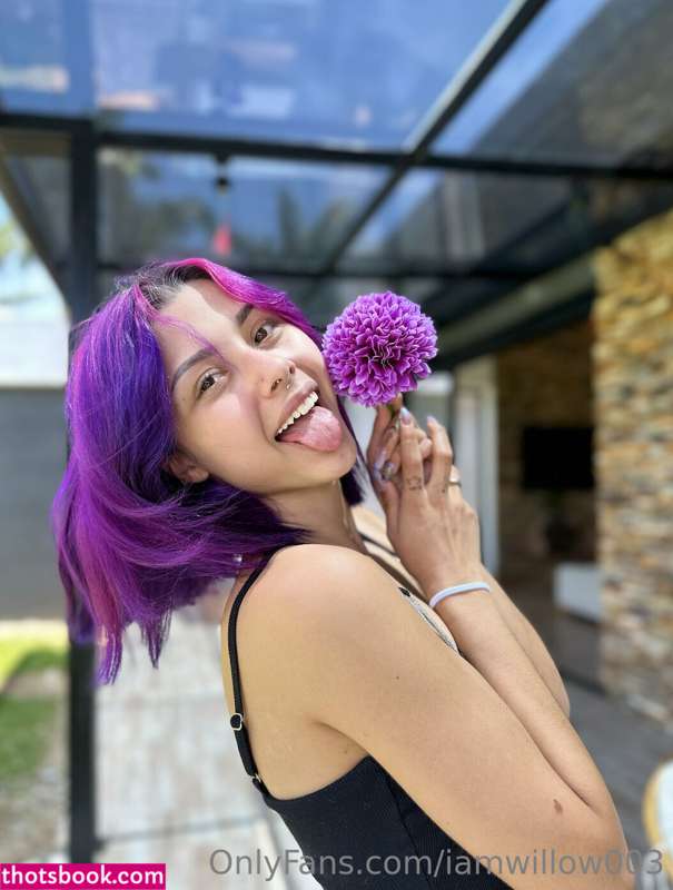 iamwillowstar iamwillow003 iamwillowstarr willowstar Nude Leaks OnlyFans Photos #1 1464686
