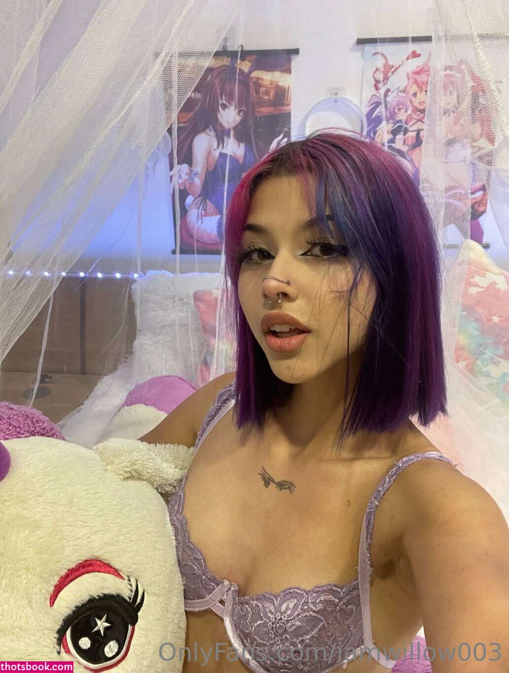 iamwillowstar iamwillow003 iamwillowstarr willowstar Nude Leaks OnlyFans Photos #1 1464688