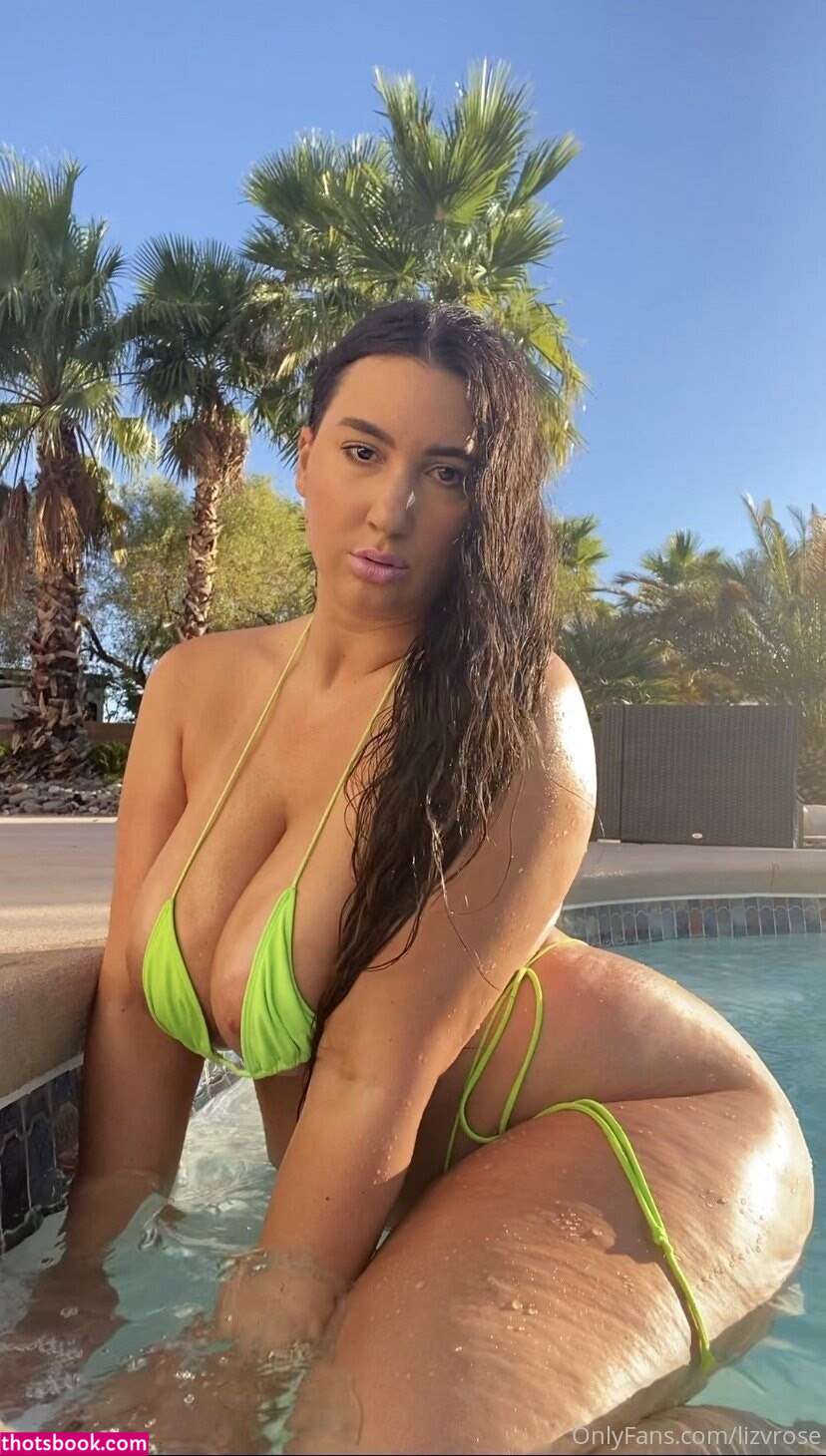 LizVRose Nude Leaks OnlyFans Photos #1 1505508