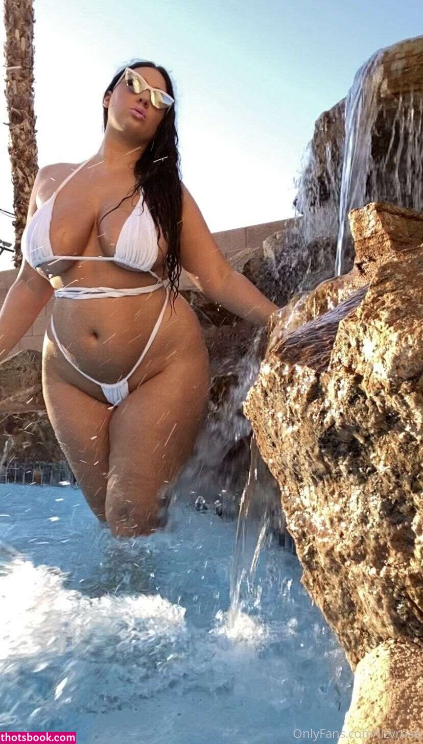 LizVRose Nude Leaks OnlyFans Photos #4 1505528