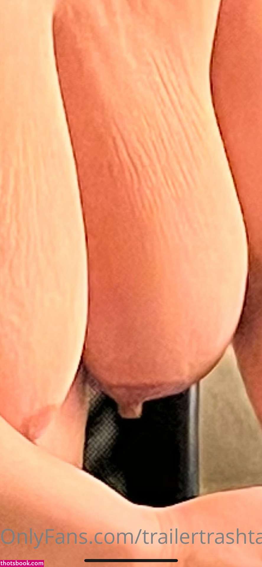 Chelcie Lynn trailertrashtammy Nude Leaks OnlyFans Photos #5 1510829