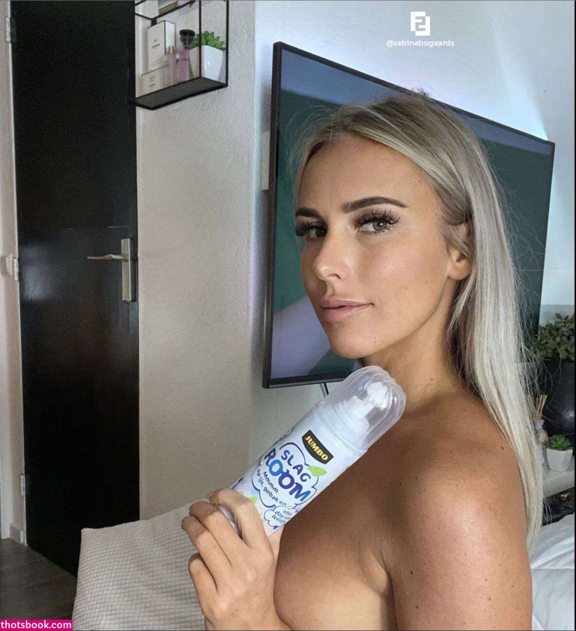 Sebine Bogaards sebinebogaards Nude Leaks OnlyFans Photos #1 1508019