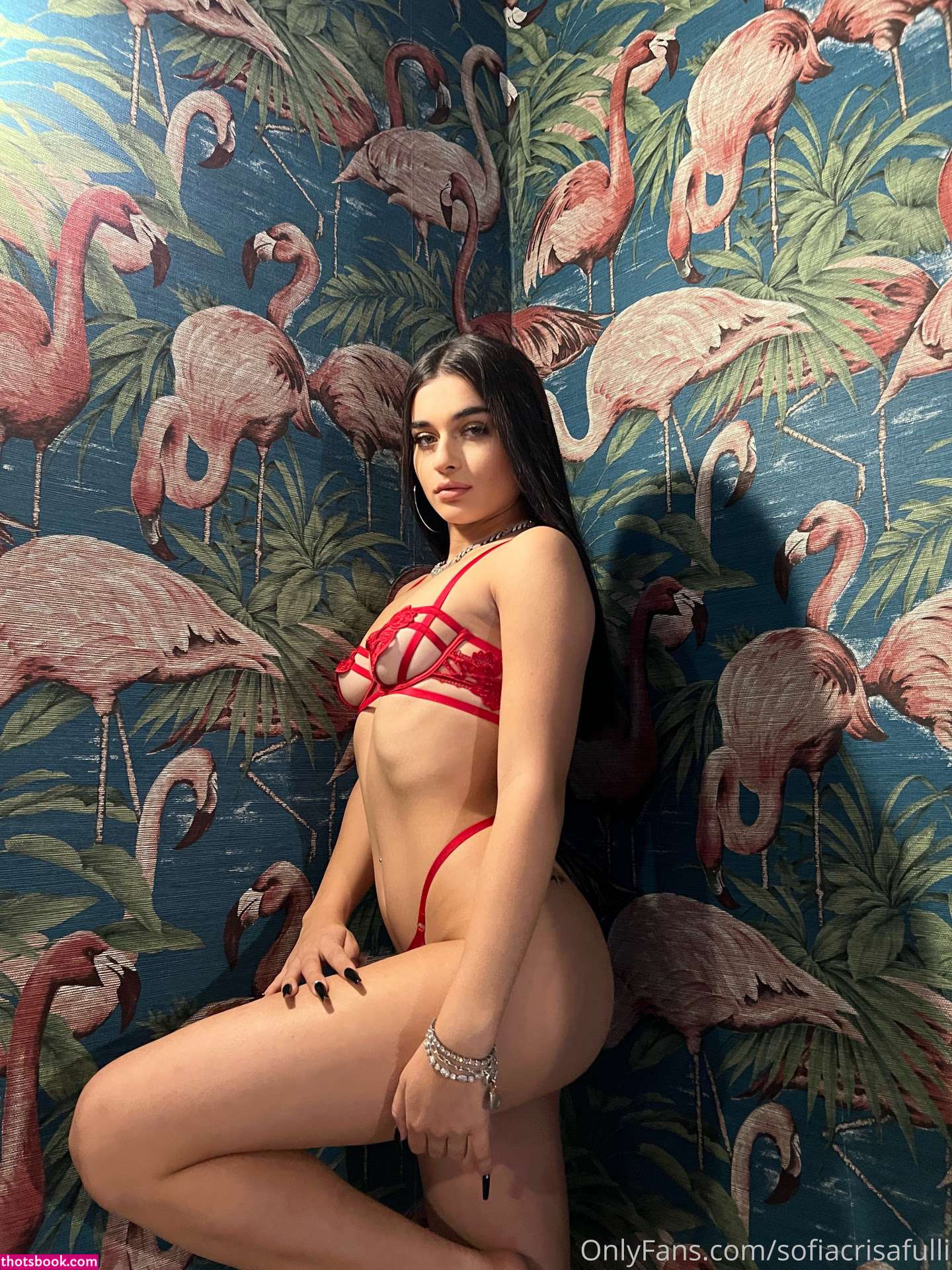 Sofia Crisafulli Nude Leaks OnlyFans Photos #5 1508200