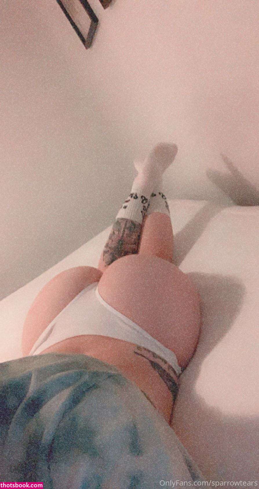 starlingtears Nude Leaks OnlyFans Photos #1 1469497