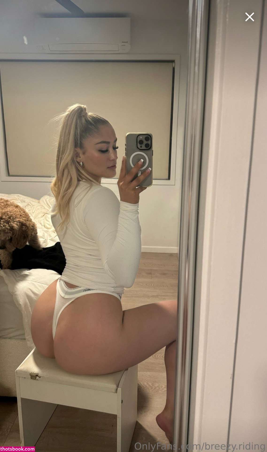 breezy riding Nude Leaks OnlyFans Photos #5 1484506