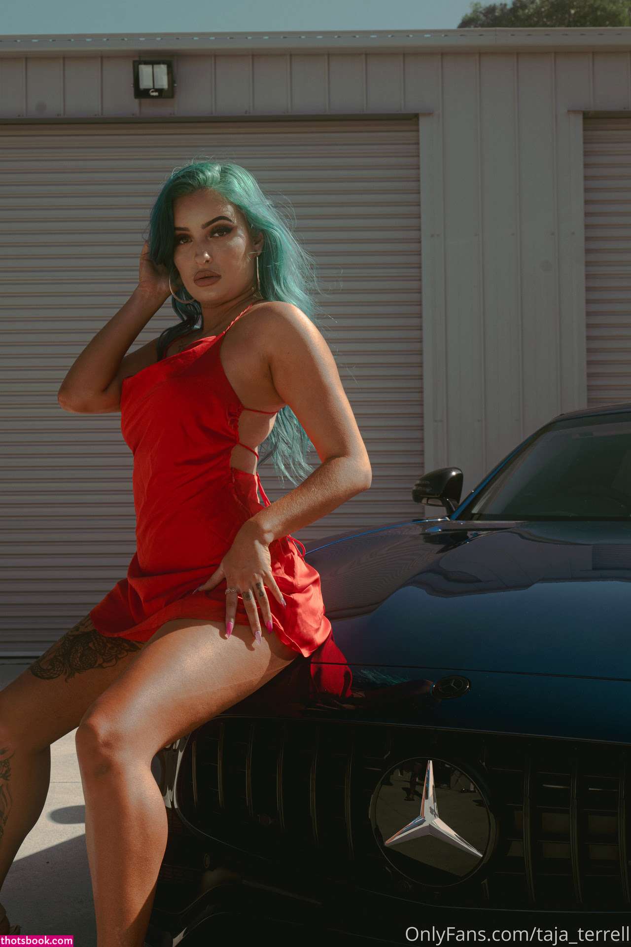 Taja Terrell Nude Leaks OnlyFans Photos #4 1486088