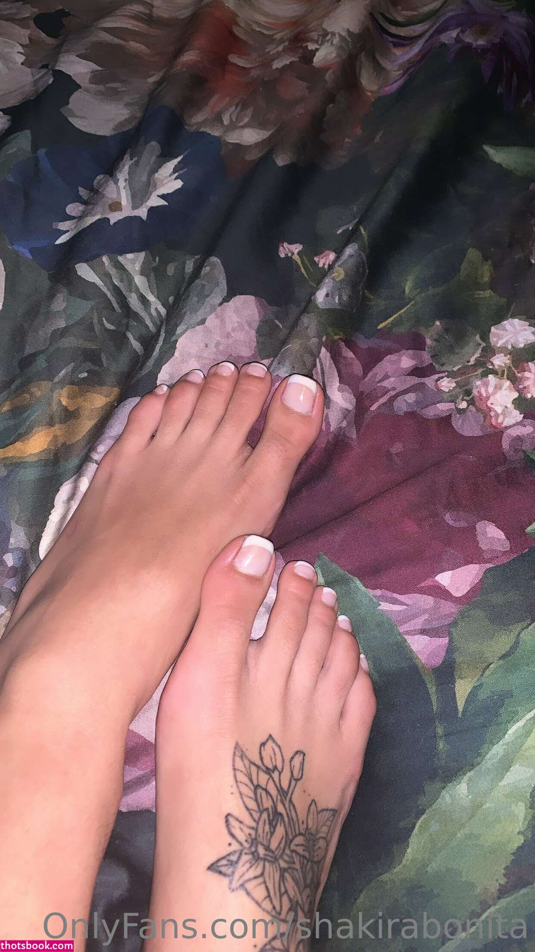 Zion shakirabonita babyyshakira bbyzion Nude Leaks OnlyFans Photos #4 1473538