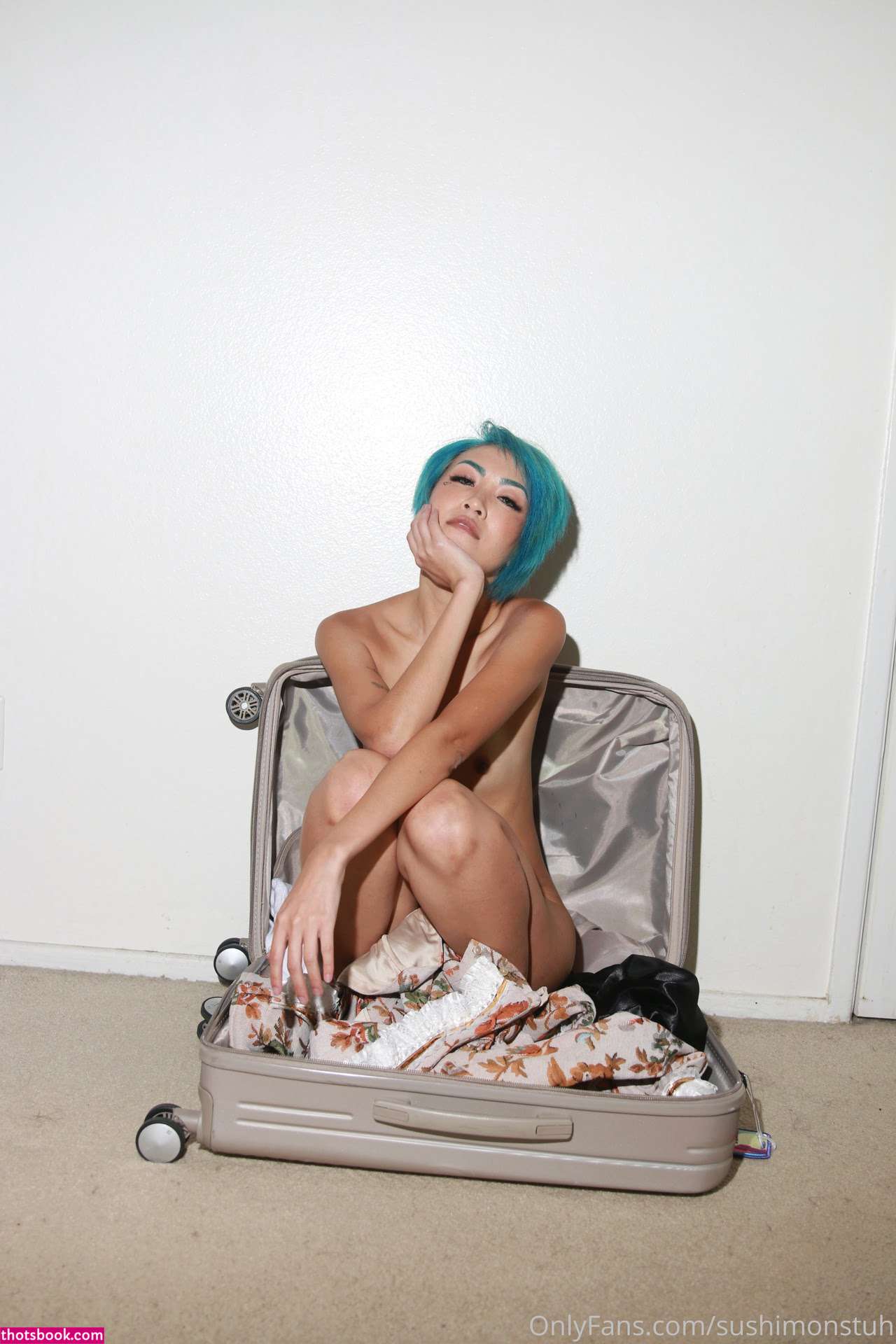 Sushimonstuh Nude Leaks OnlyFans Photos #2 1501293