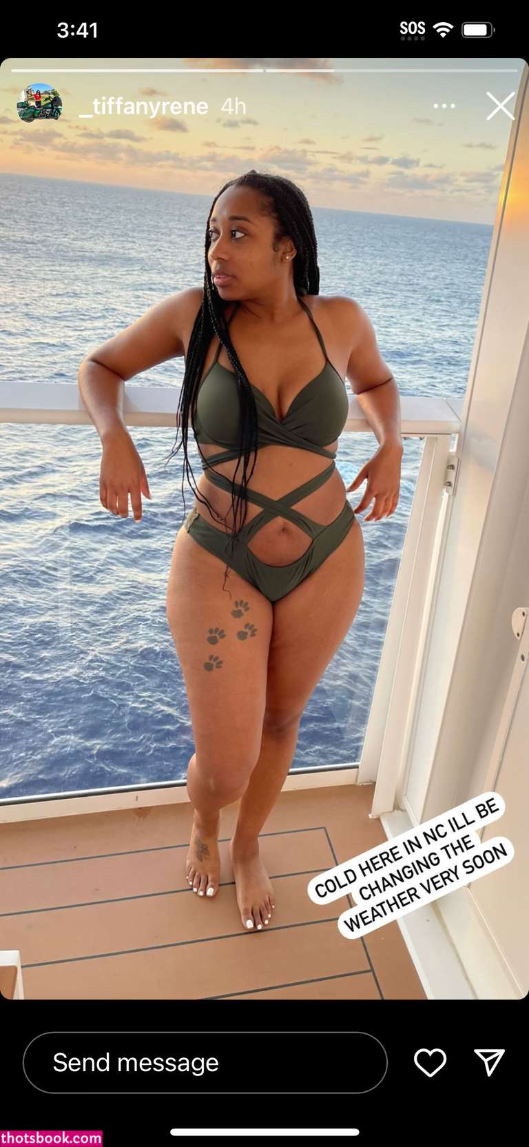 Tiffany Renee Nude Leaks OnlyFans Photos #2 1940208