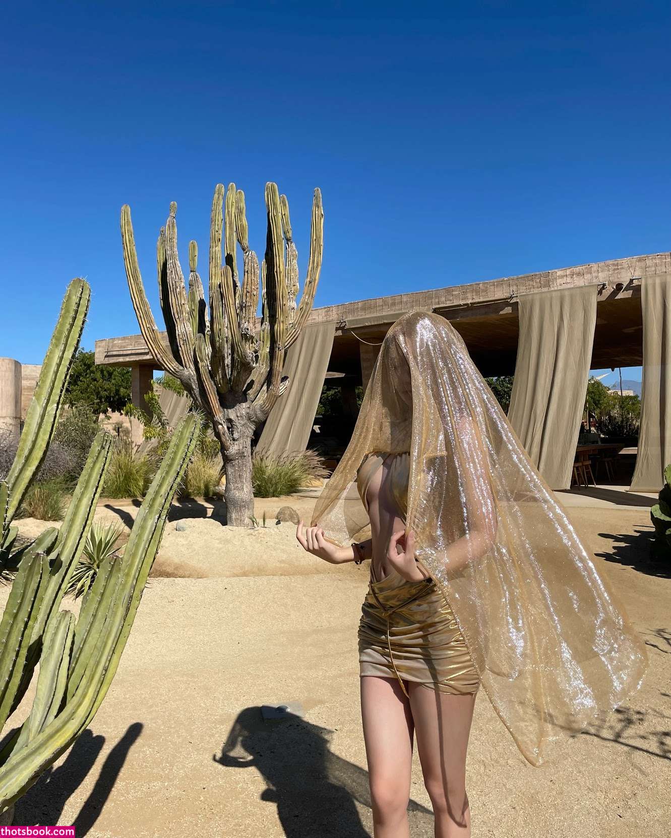 hannahxu567 Nude Leaks OnlyFans Photos #2 1941010