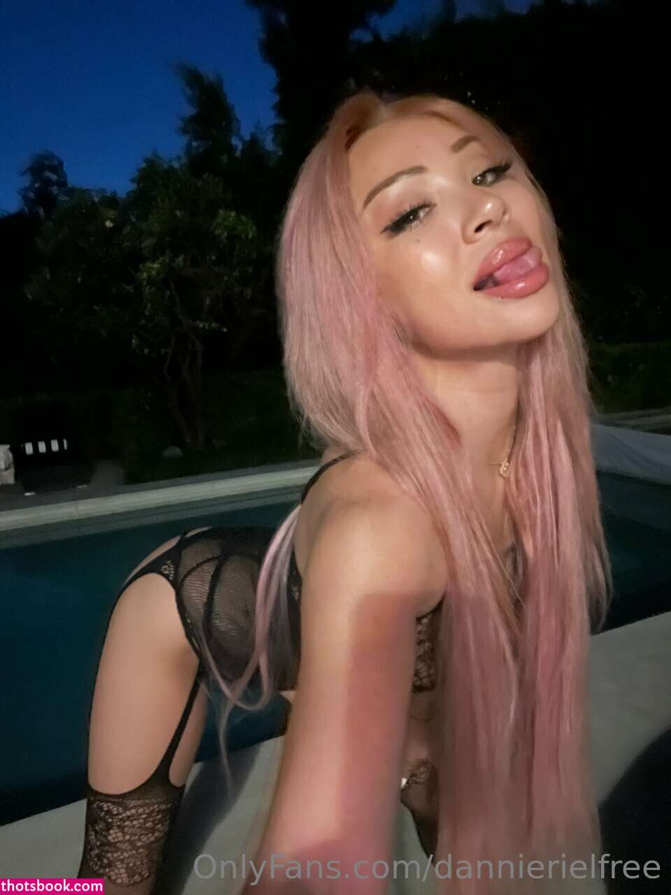 Dannie Riel Nude OnlyFans Photos #13 736333