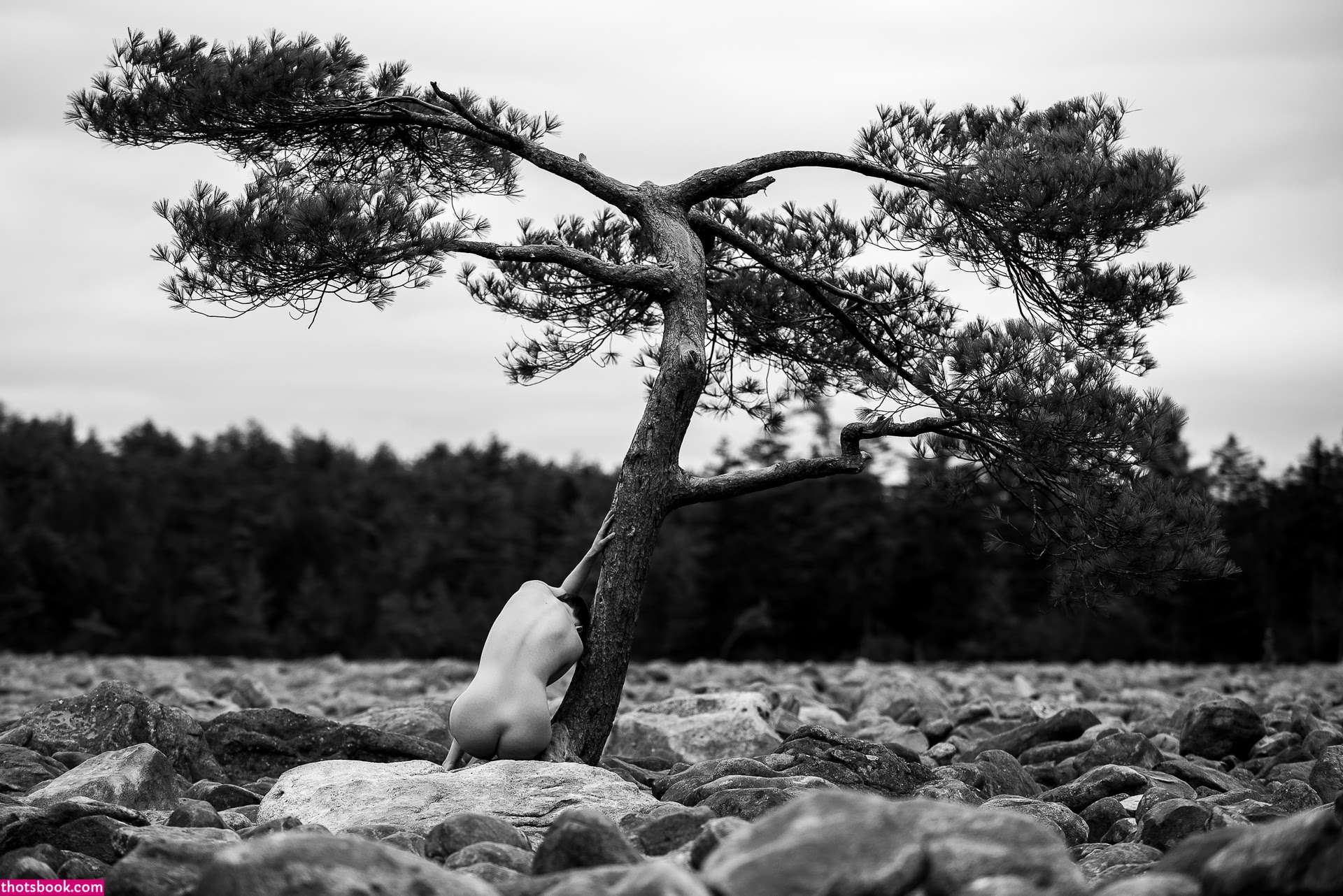 Icelandic Selkie Nude Photos #7 795895