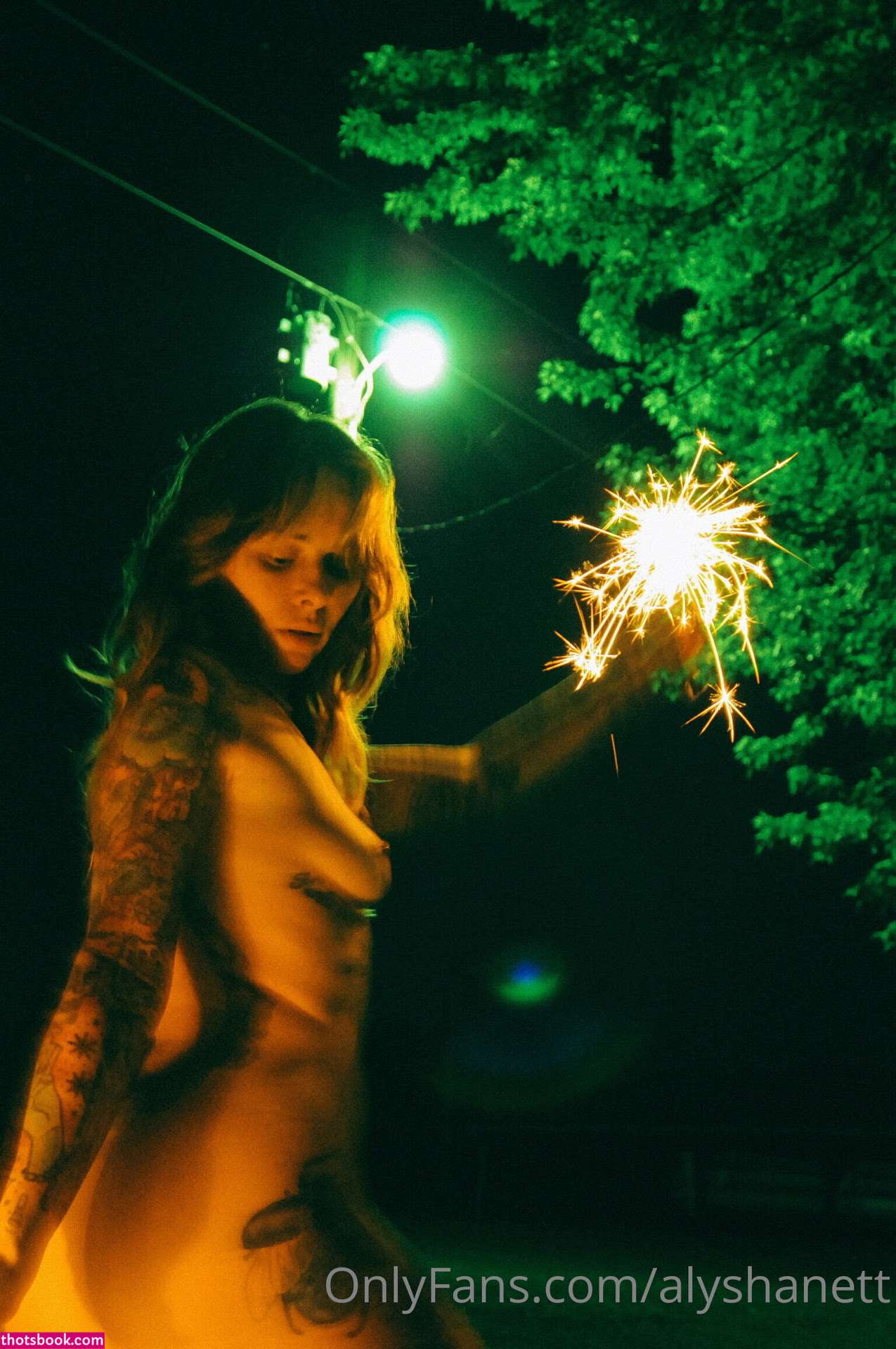Alysha Nett Nude OnlyFans Photos #3 758183