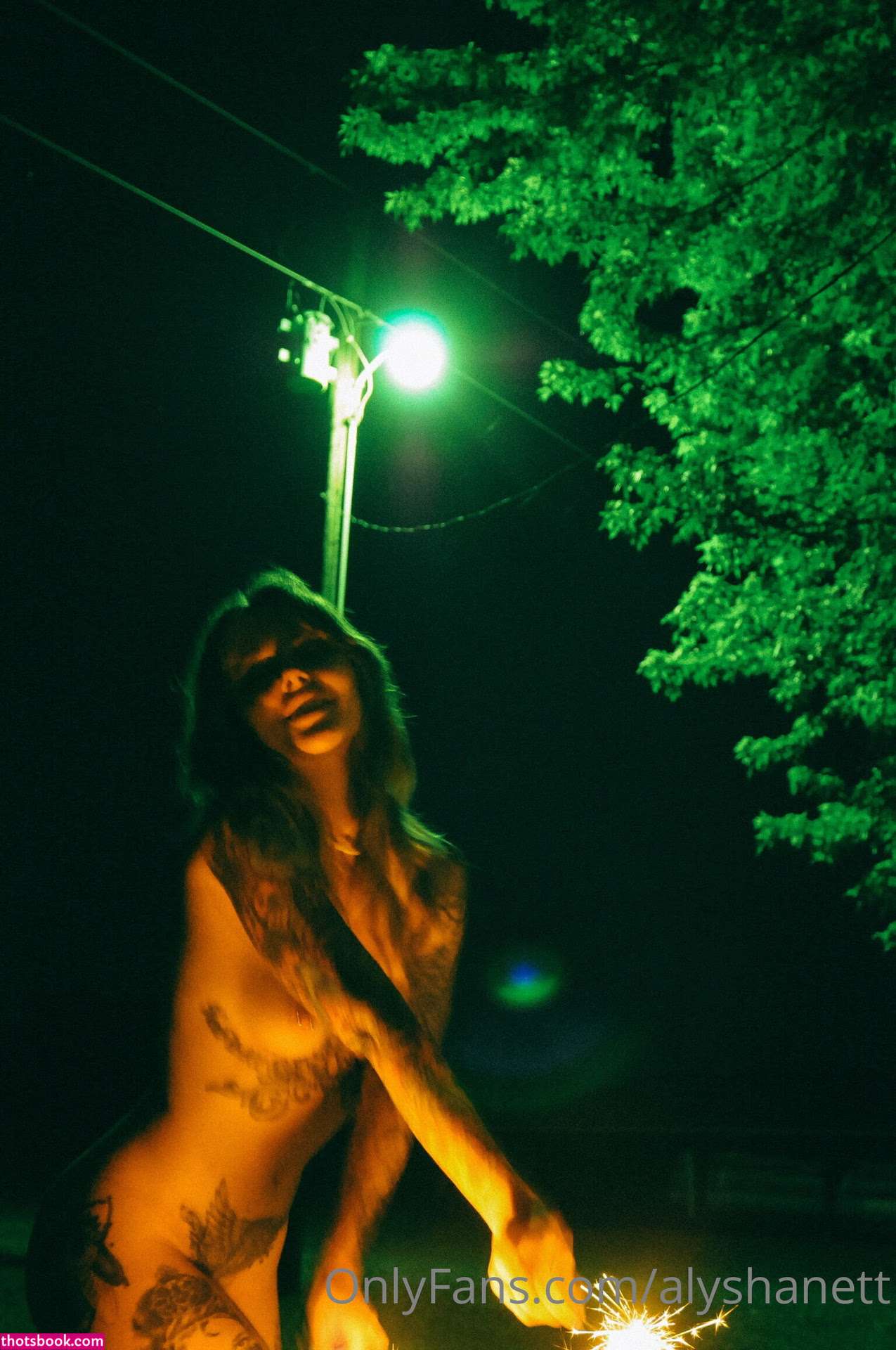 Alysha Nett Nude OnlyFans Photos #3 758184