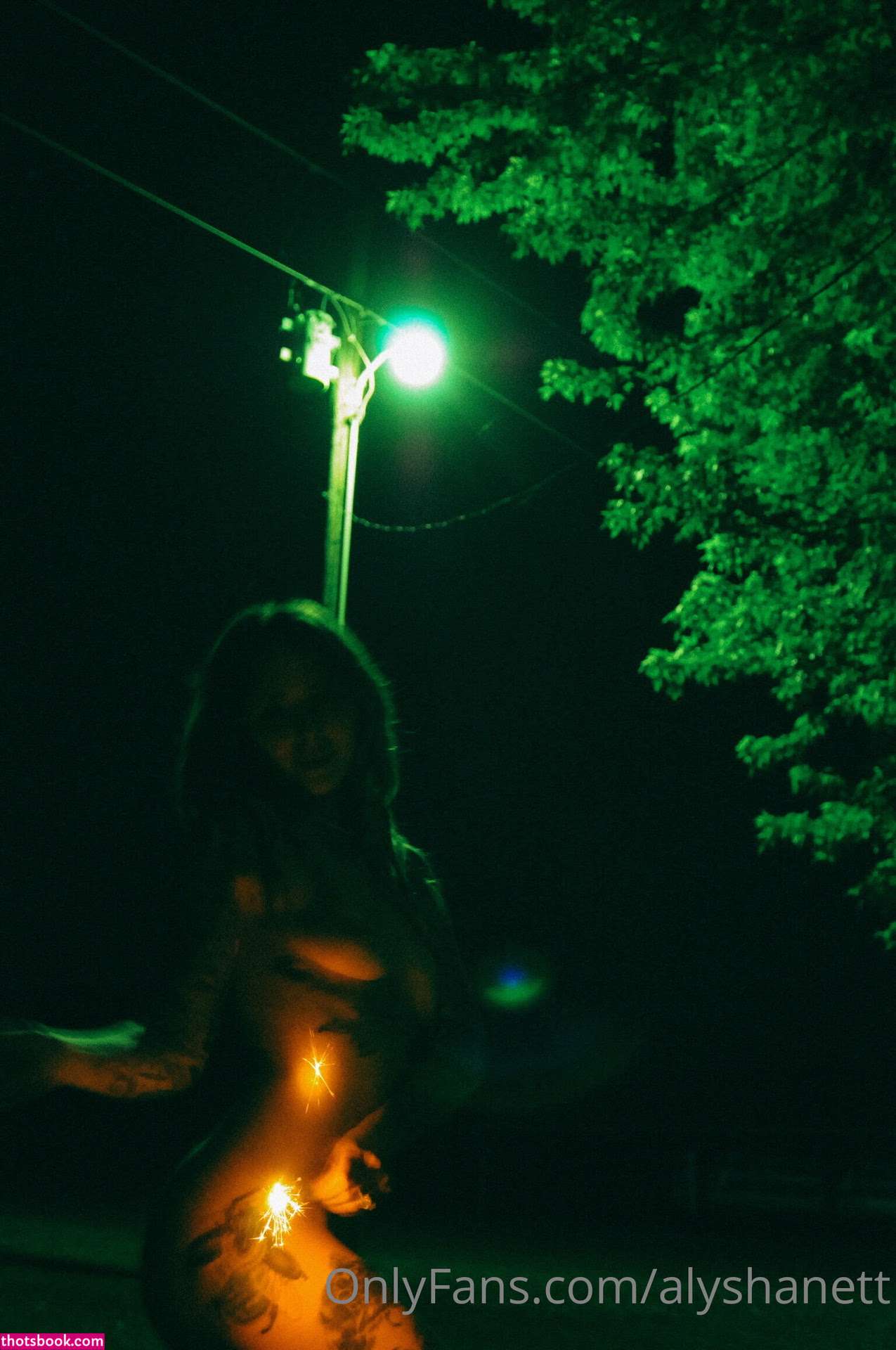 Alysha Nett Nude OnlyFans Photos #3 758187